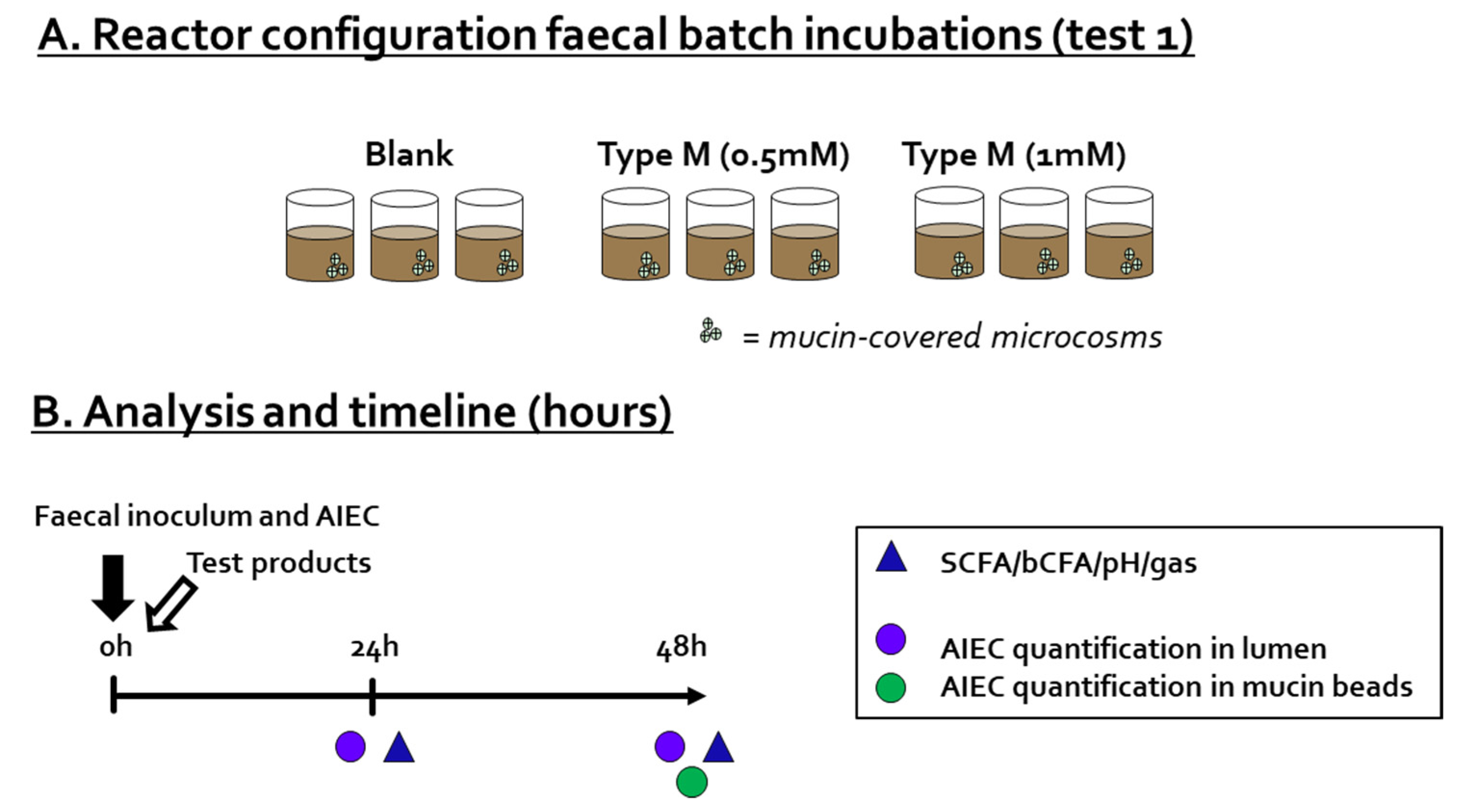 Pathogens 10 01217 g001 550