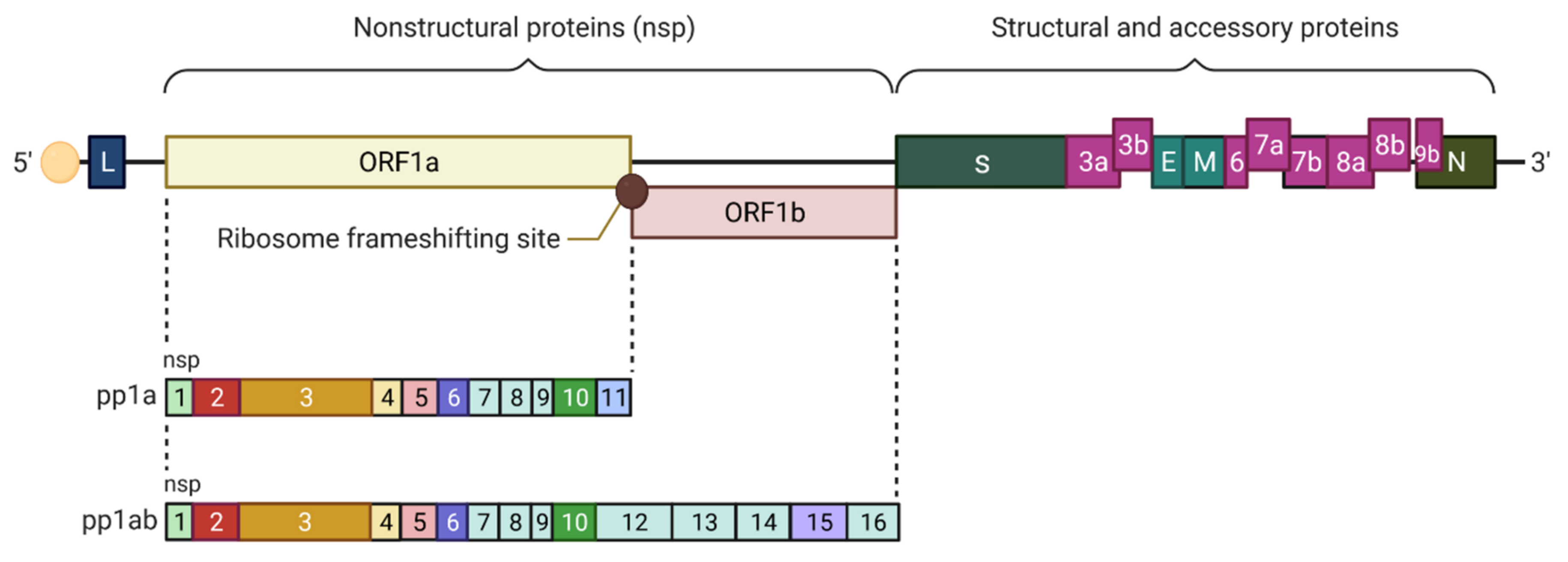 Pathogens 10 01218 g003
