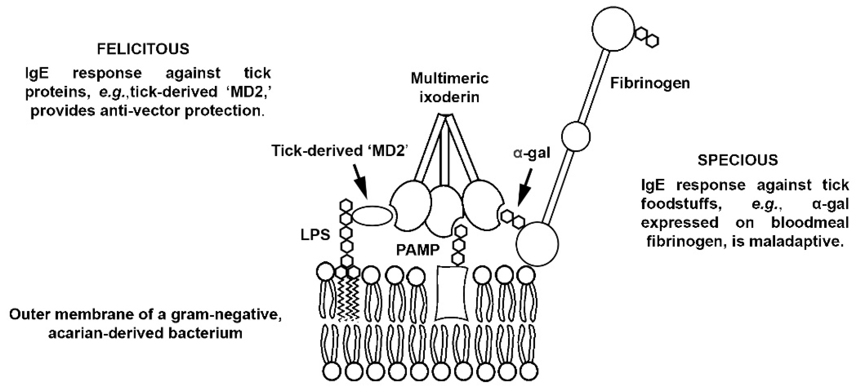 Pathogens 10 01220 g002 Pathogens 10 01220 g002