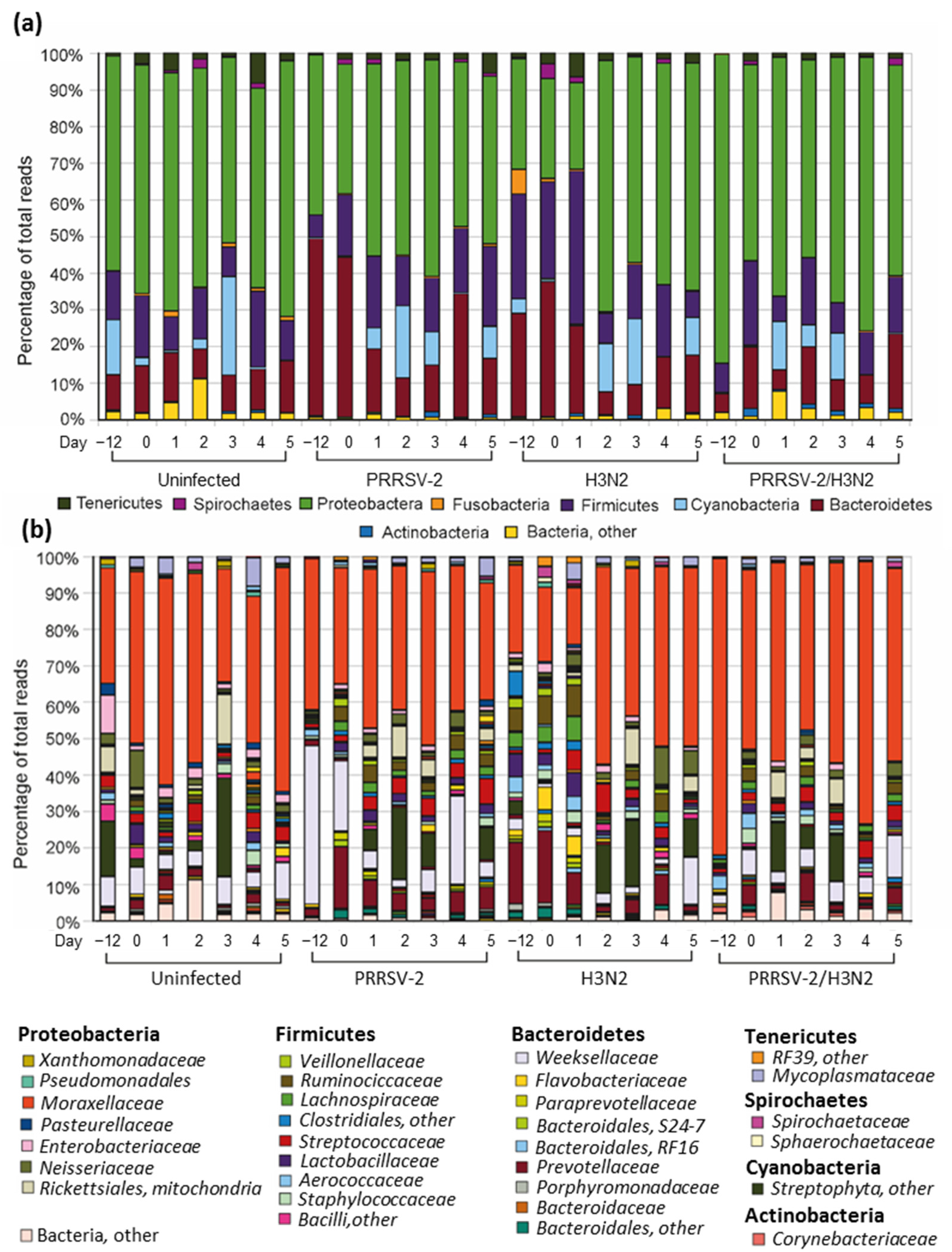 Pathogens 10 01225 g002