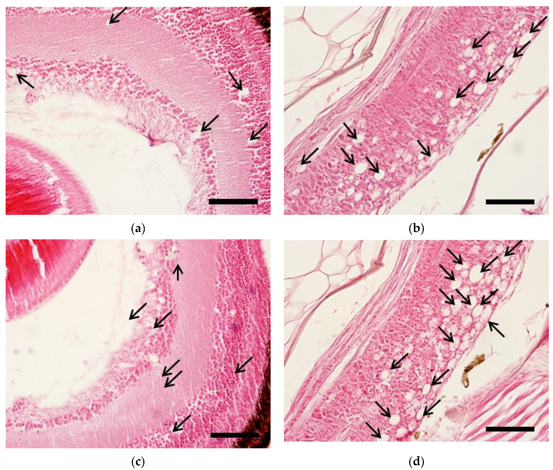 Pathogens 10 01232 g005