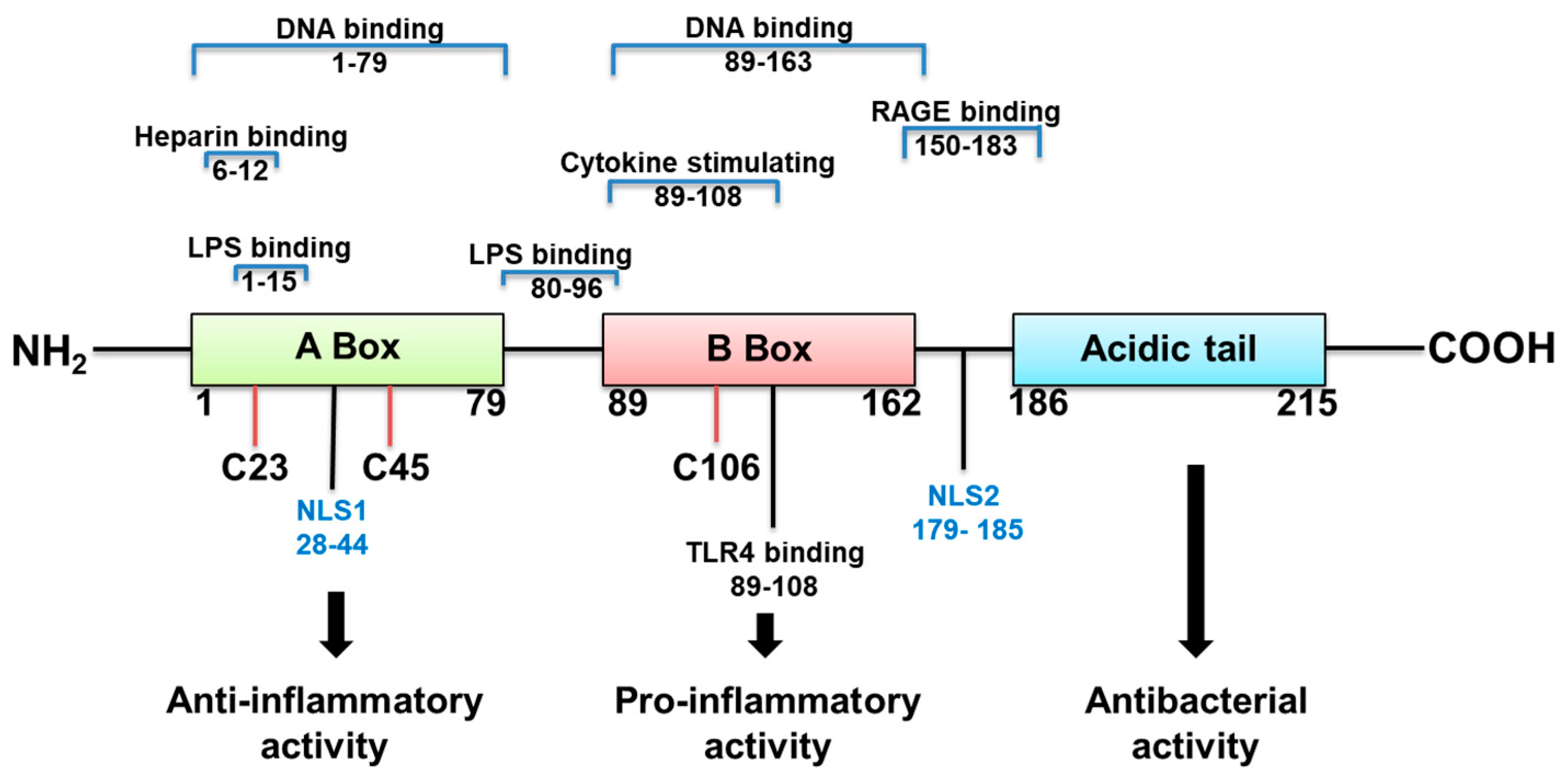 Pathogens 10 01235 g001
