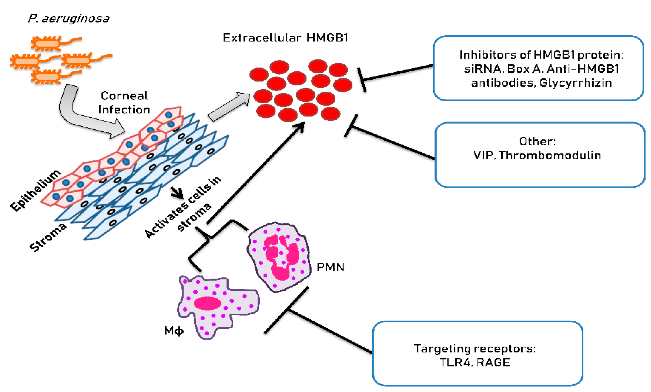 Pathogens 10 01235 g002