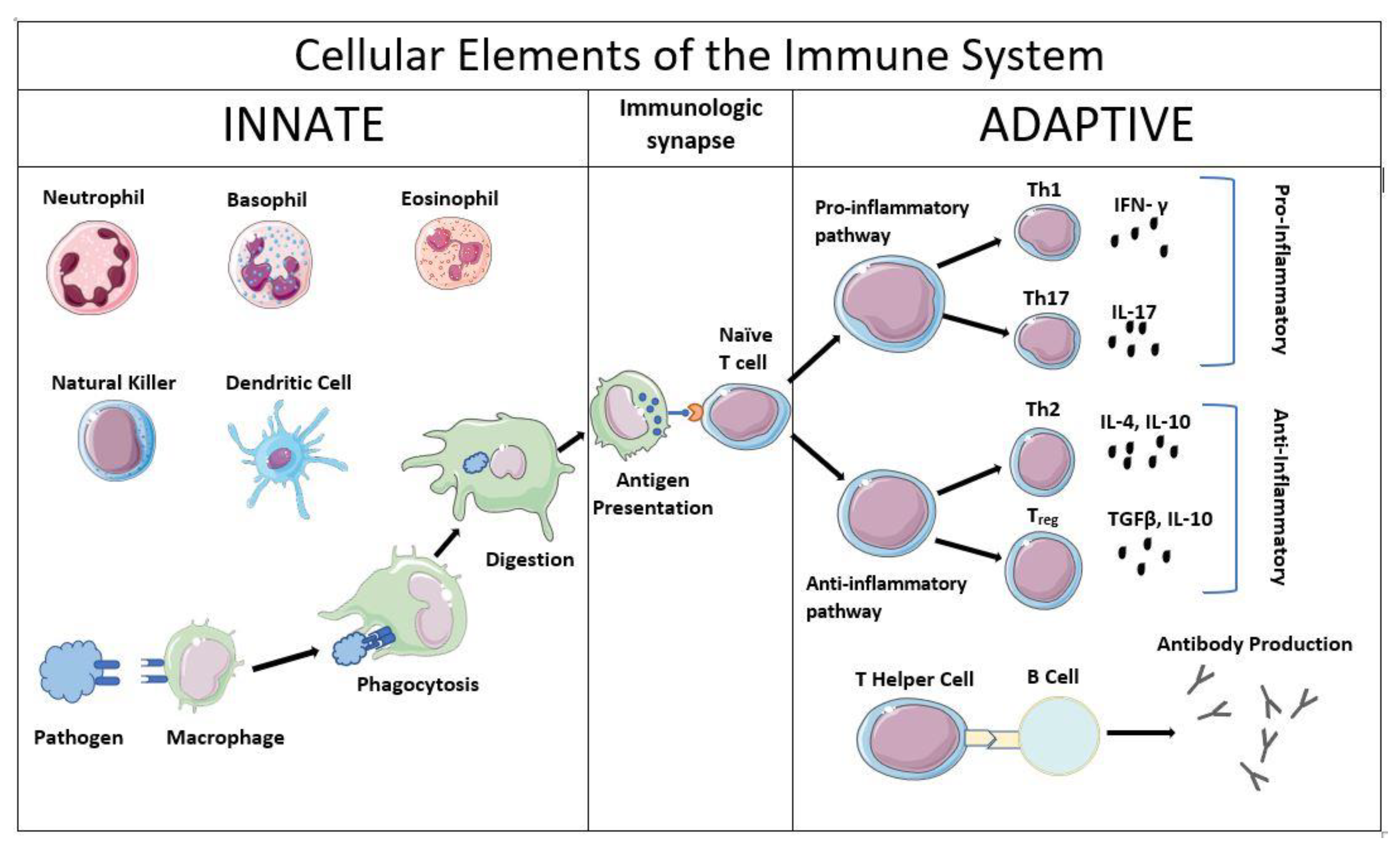 Pathogens 10 01239 g001 Pathogens 10 01239 g001