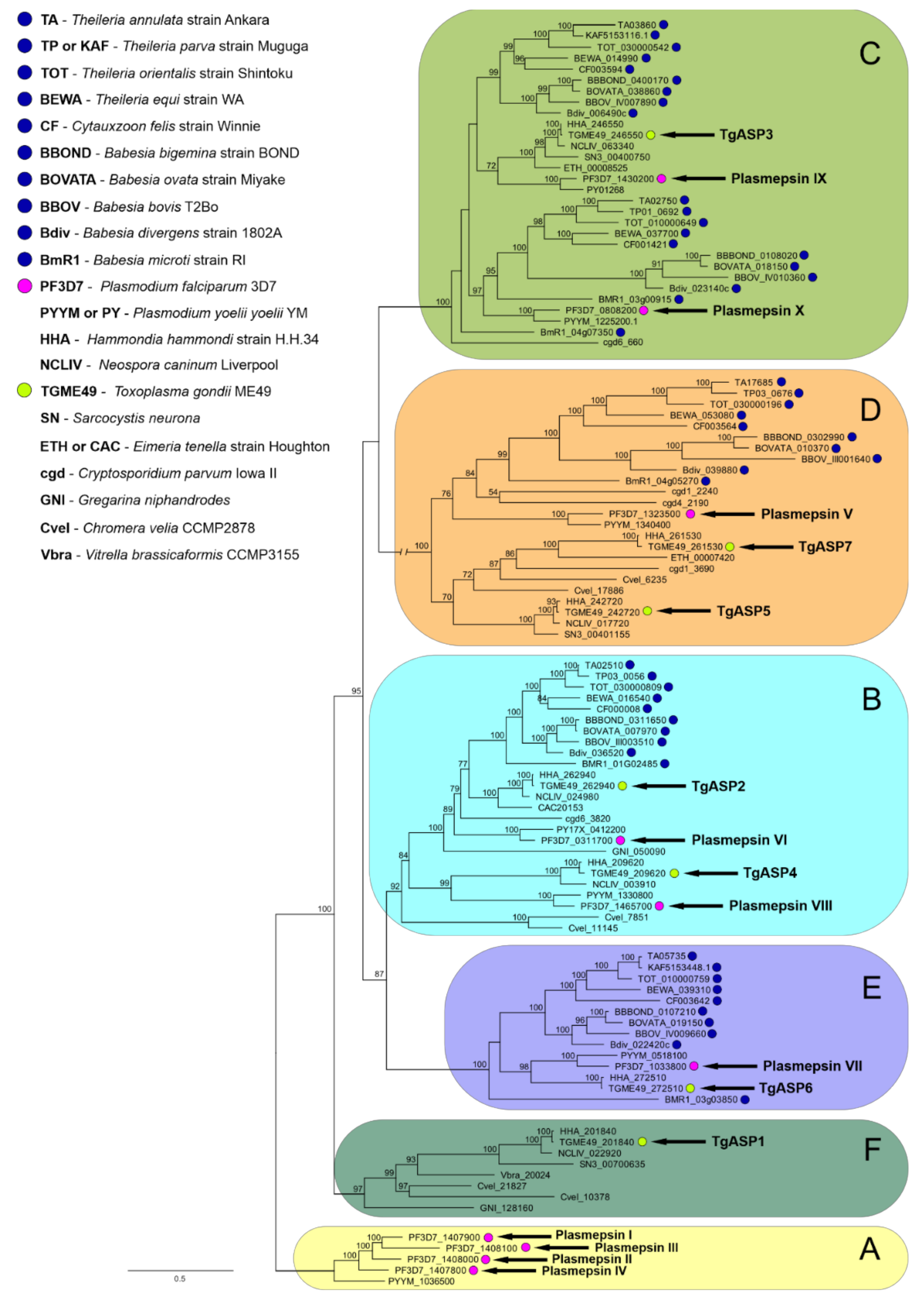 Pathogens 10 01241 g002