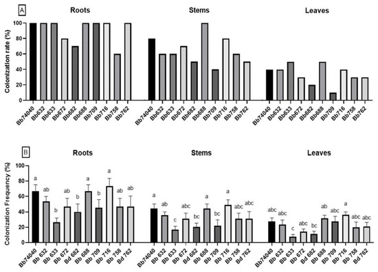 Pathogens Free Full Text Selection Of Endophytic Beauveria Bassiana As A Dual Biocontrol Agent Of Tomato Pathogens And Pests Html