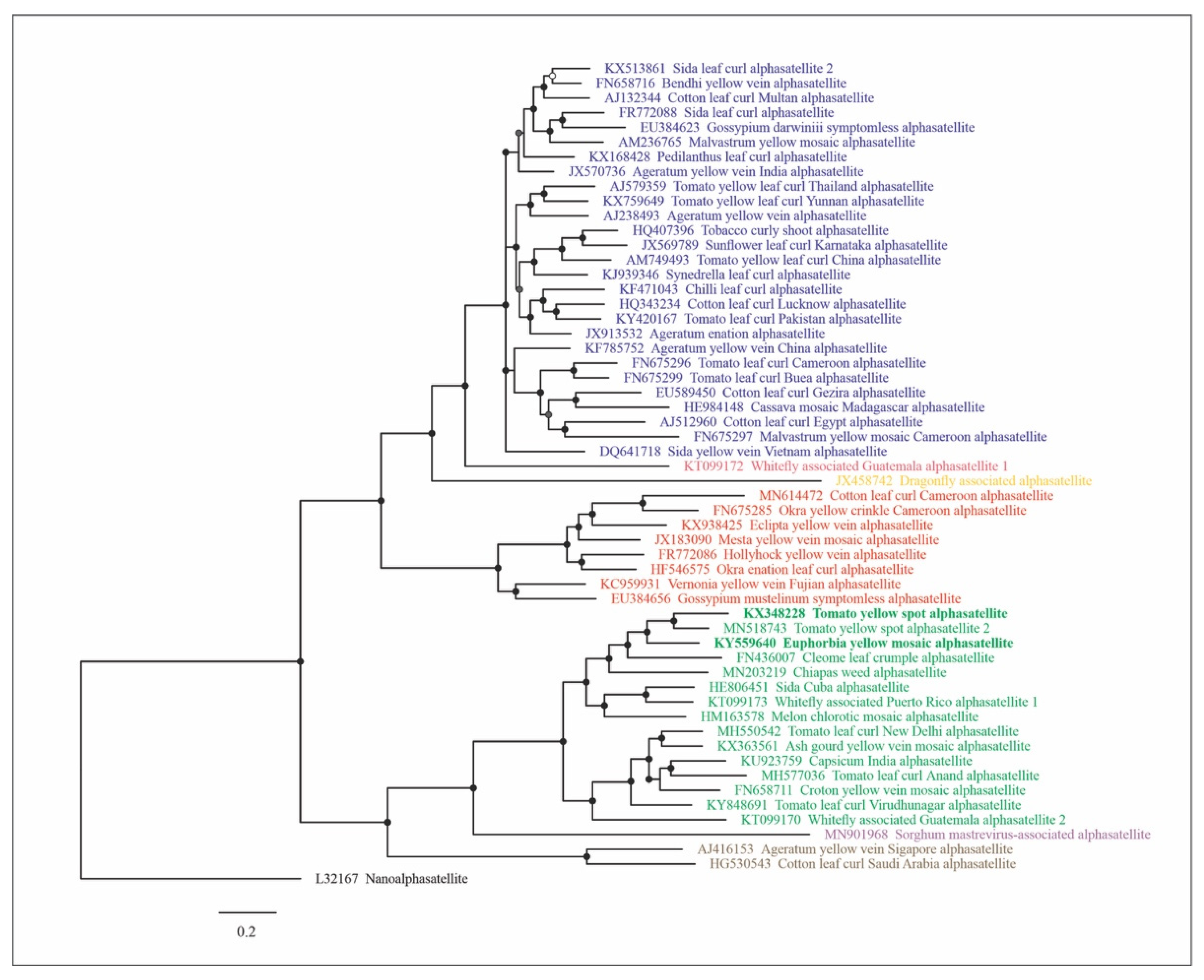 Pathogens 10 01244 g001 Pathogens 10 01244 g001