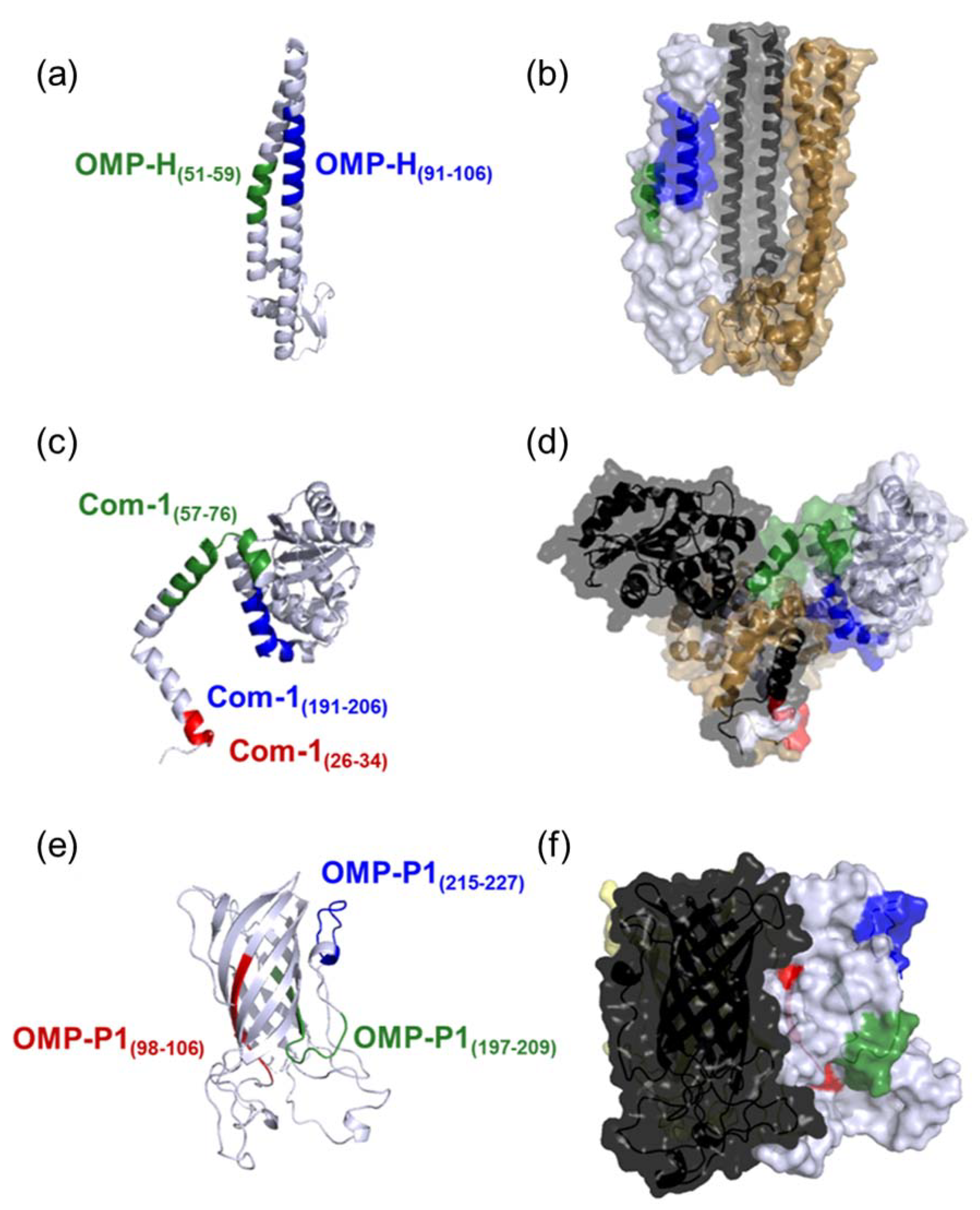 Pathogens 10 01250 g001