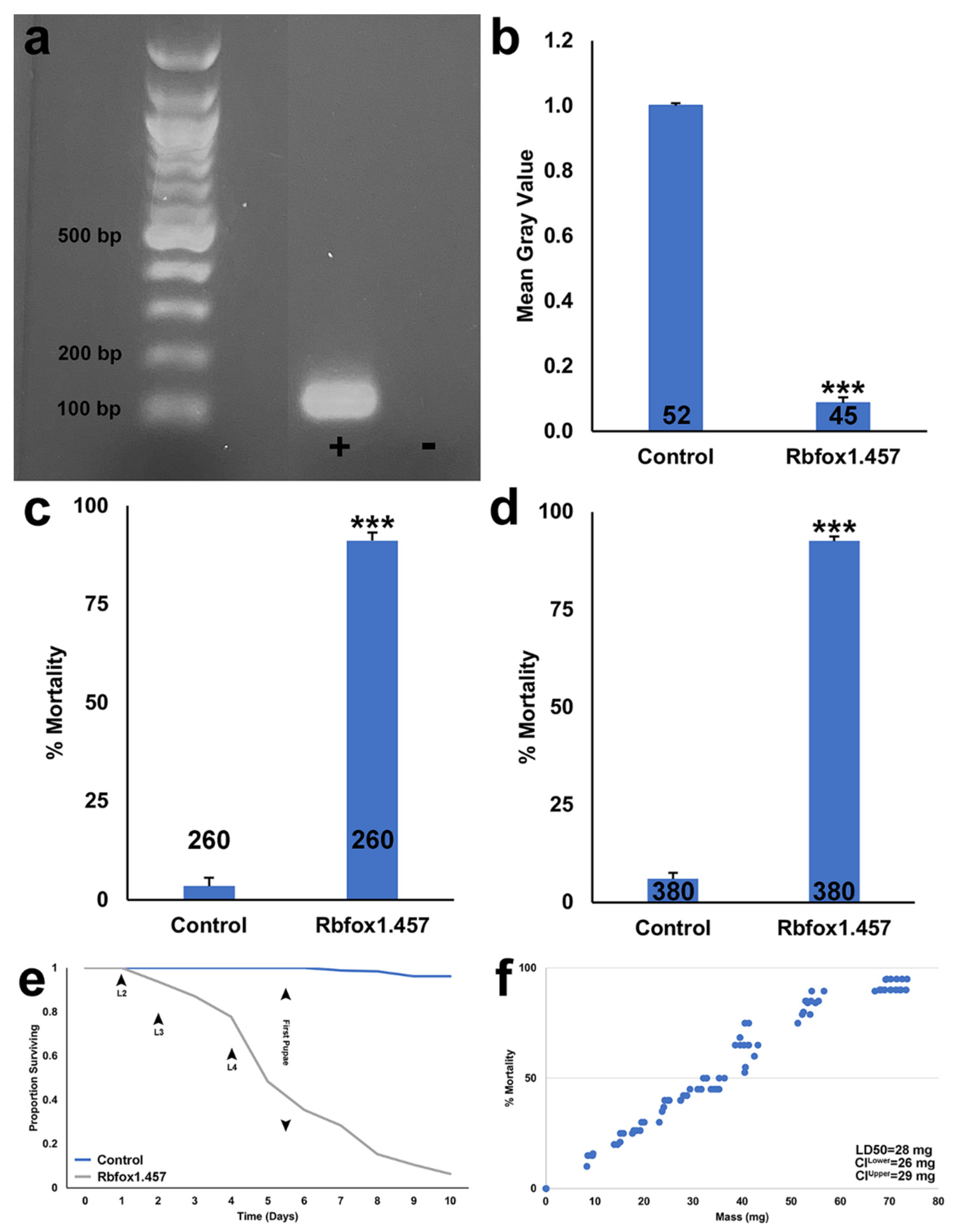 A Broad-Based Mosquito Yeast Interfering RNA Pesticide