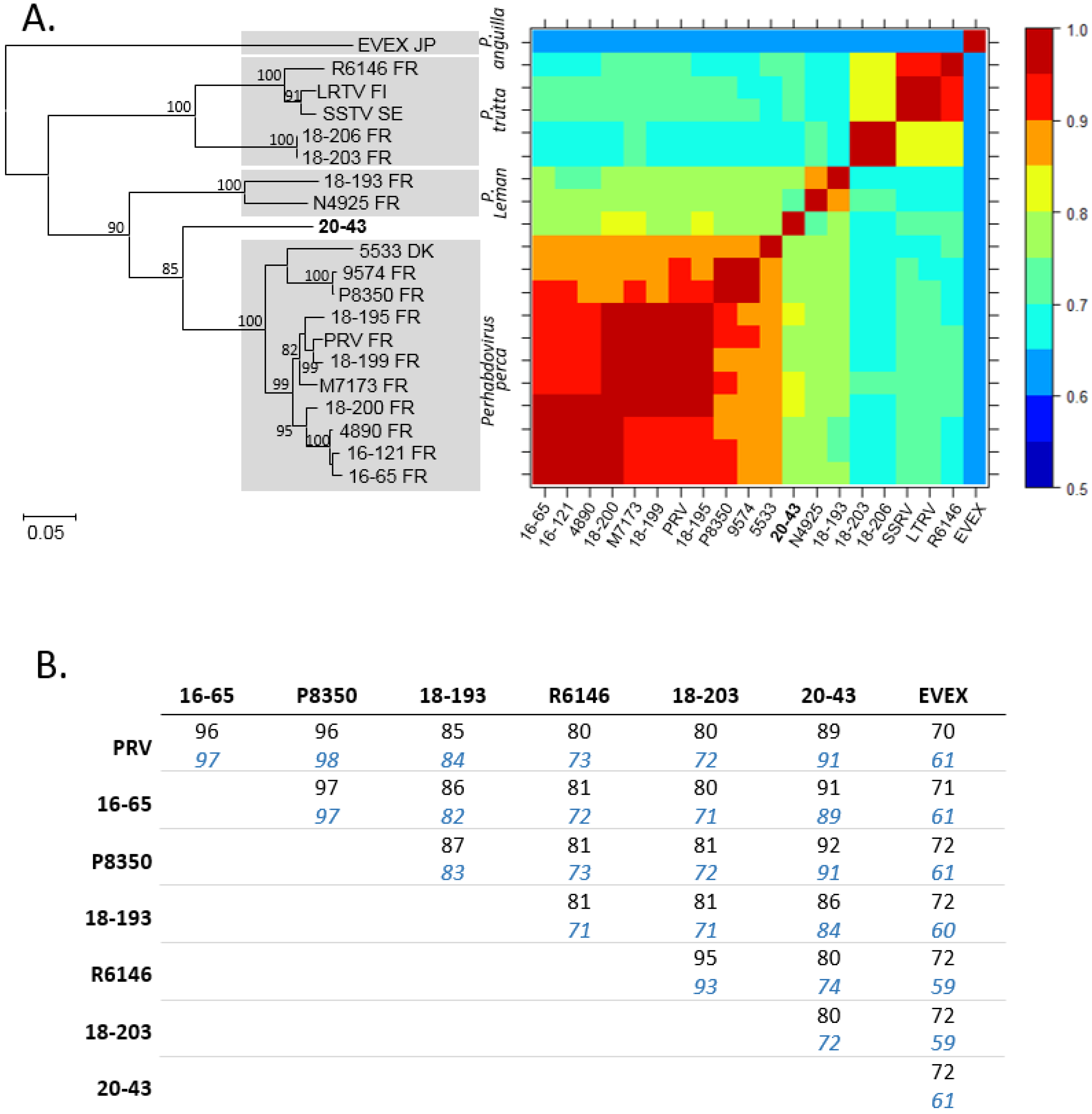 Pathogens 10 01256 g003