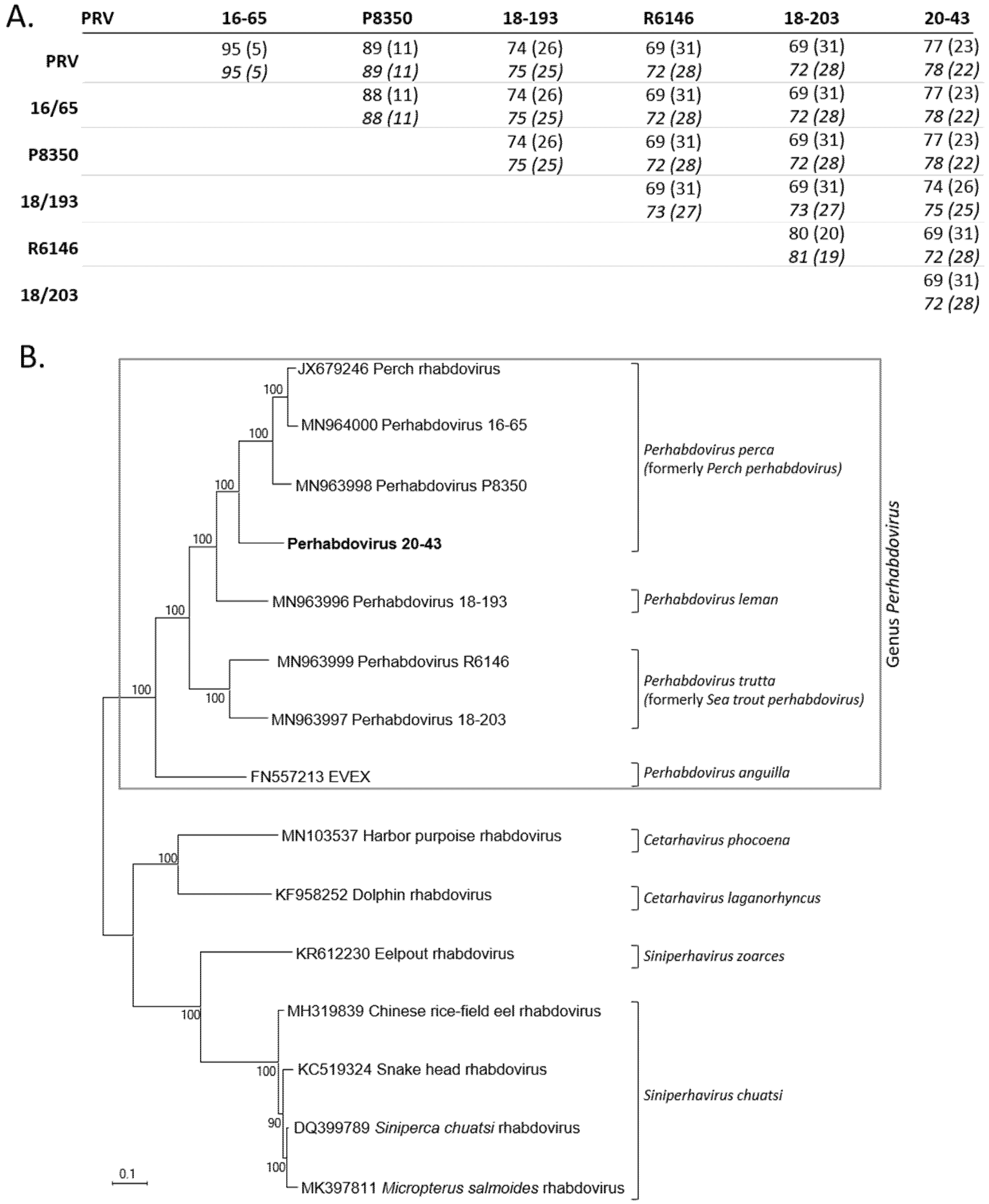 Pathogens 10 01256 g004
