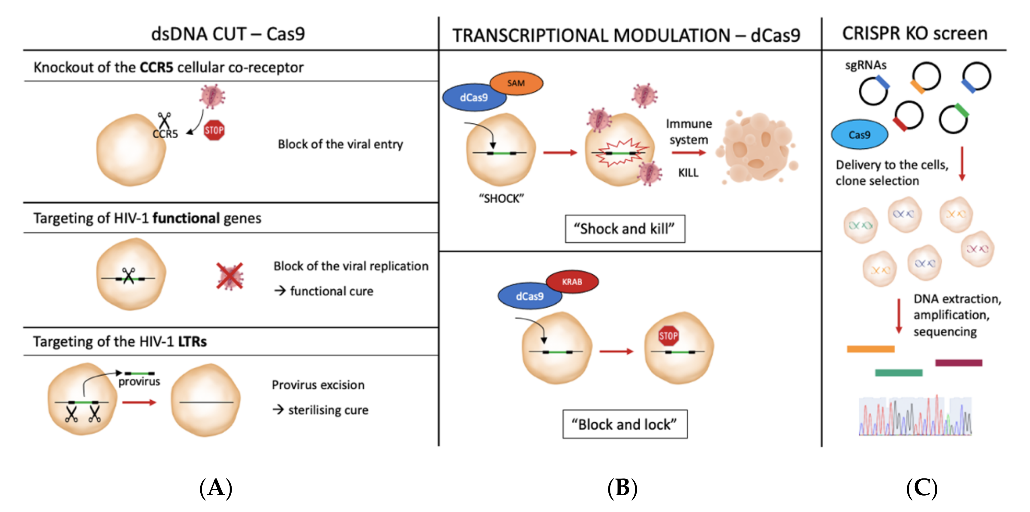 Pathogens 10 01257 g001