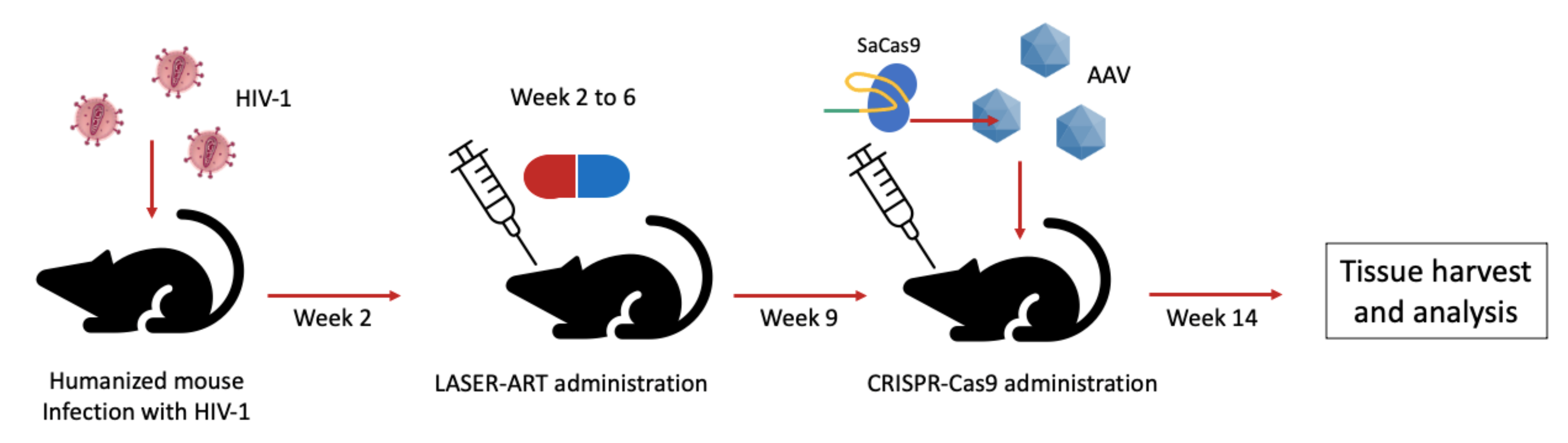 Pathogens 10 01257 g004