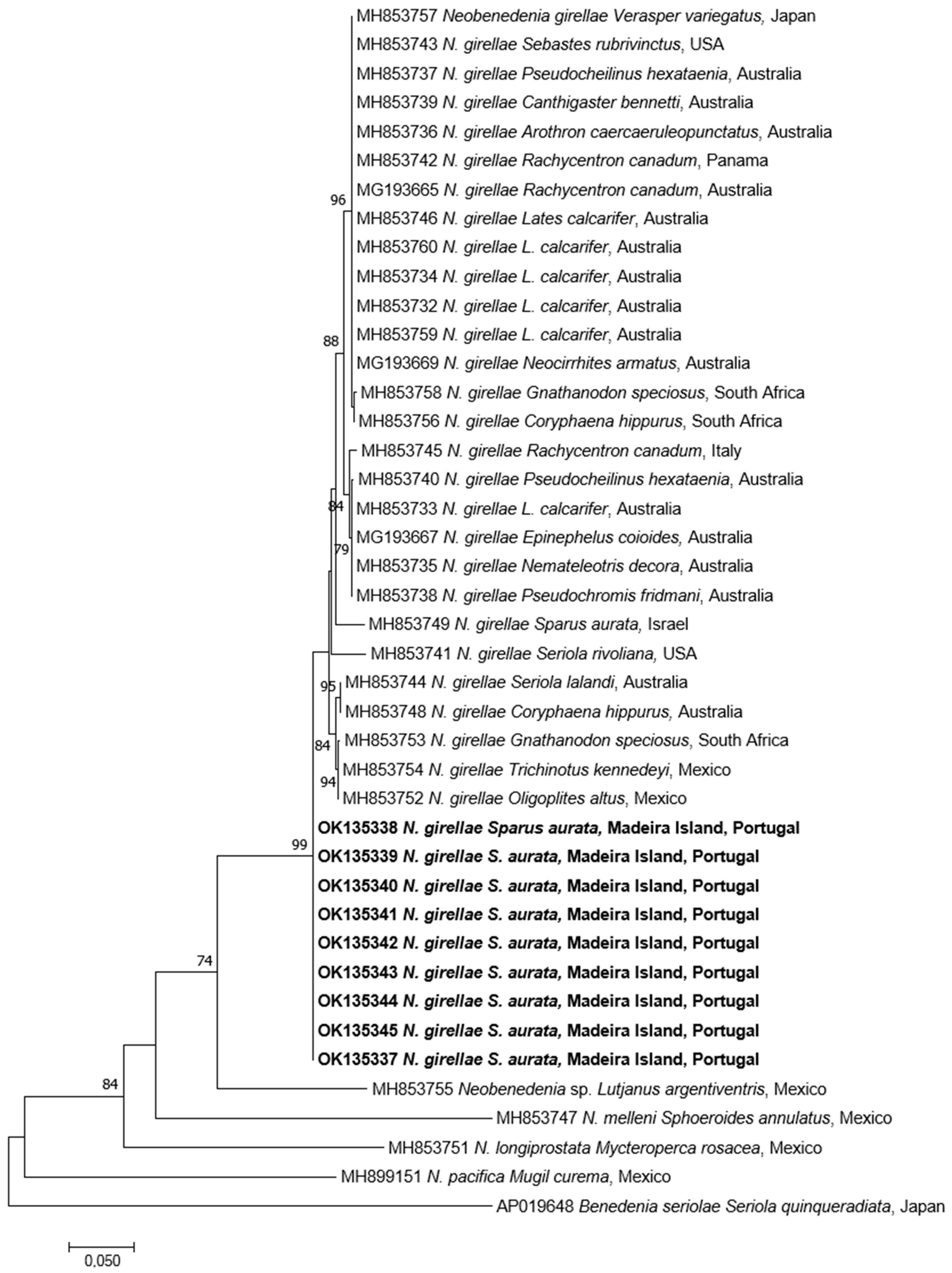Pathogens 10 01269 g005