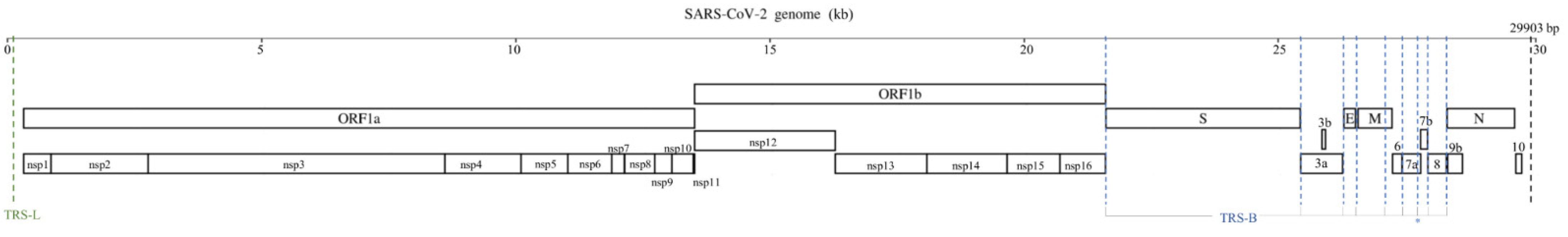 Pathogens 10 01274 g001