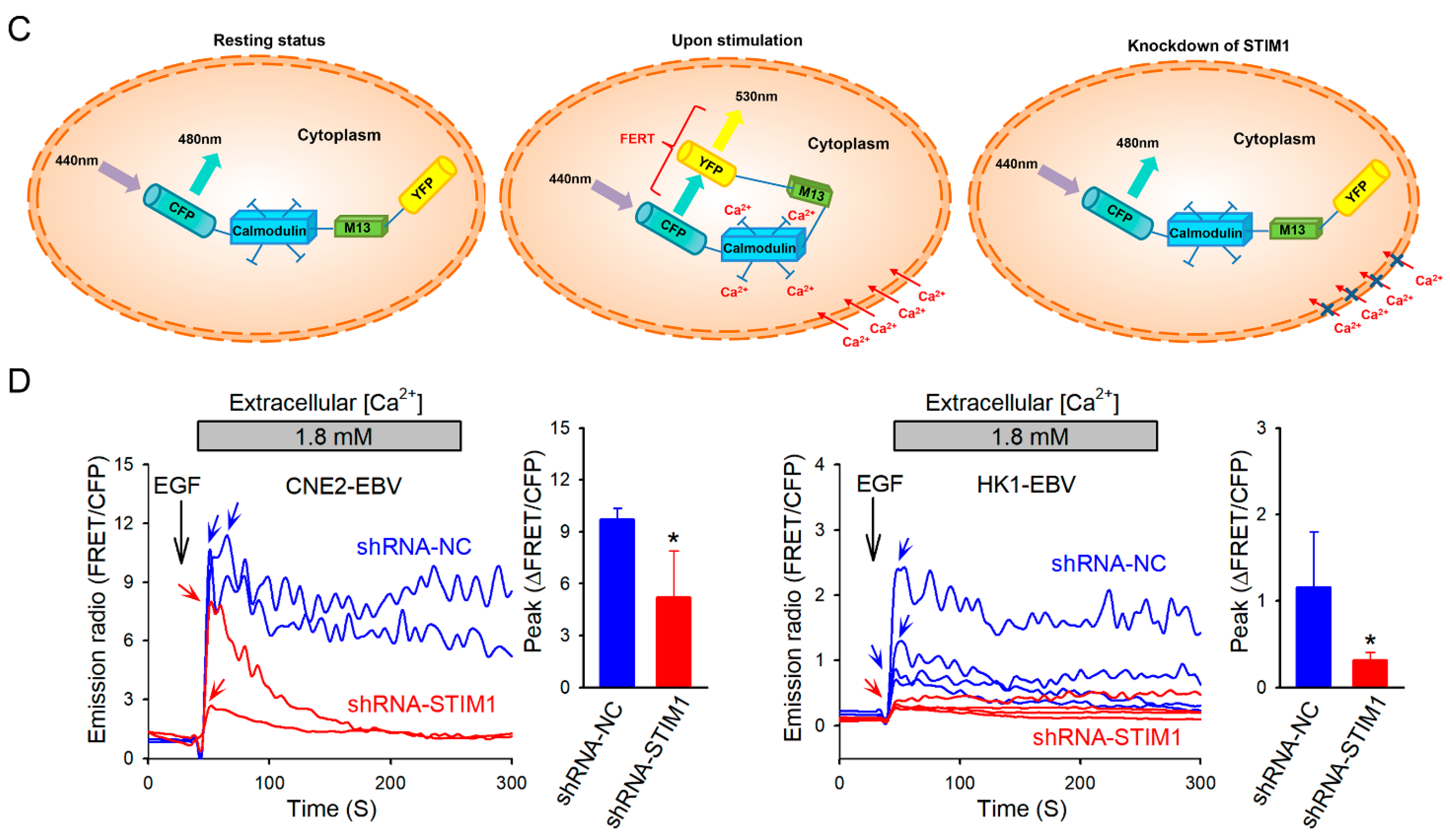Pathogens 10 01275 g001b Pathogens 10 01275 g001b