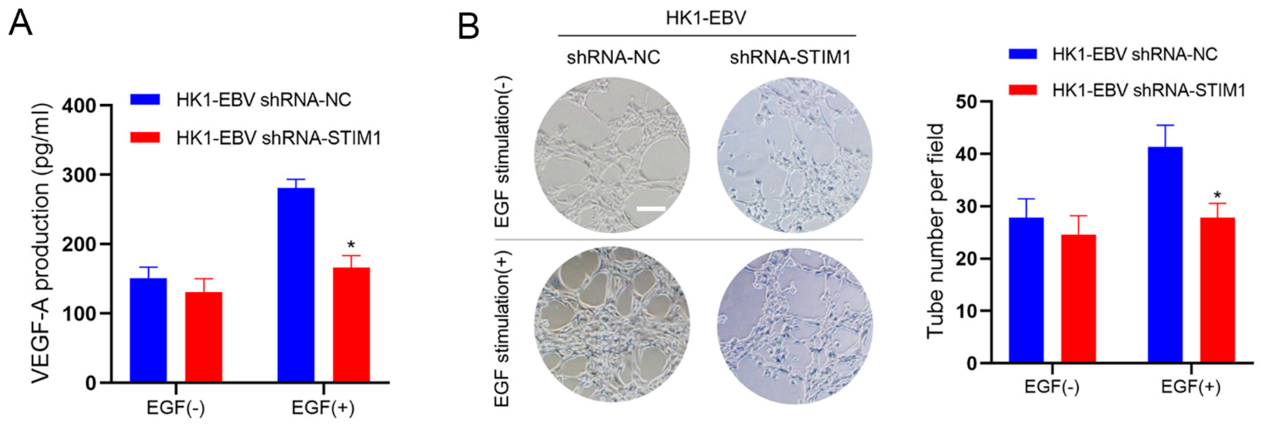 Pathogens 10 01275 g002a Pathogens 10 01275 g002a