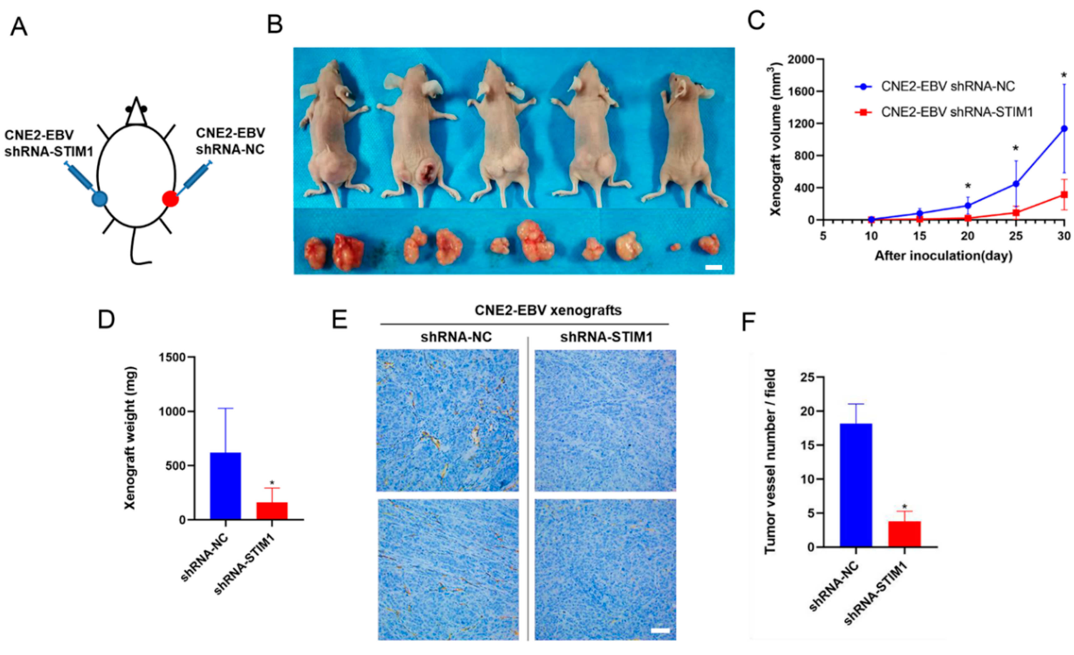 Pathogens 10 01275 g003 Pathogens 10 01275 g003