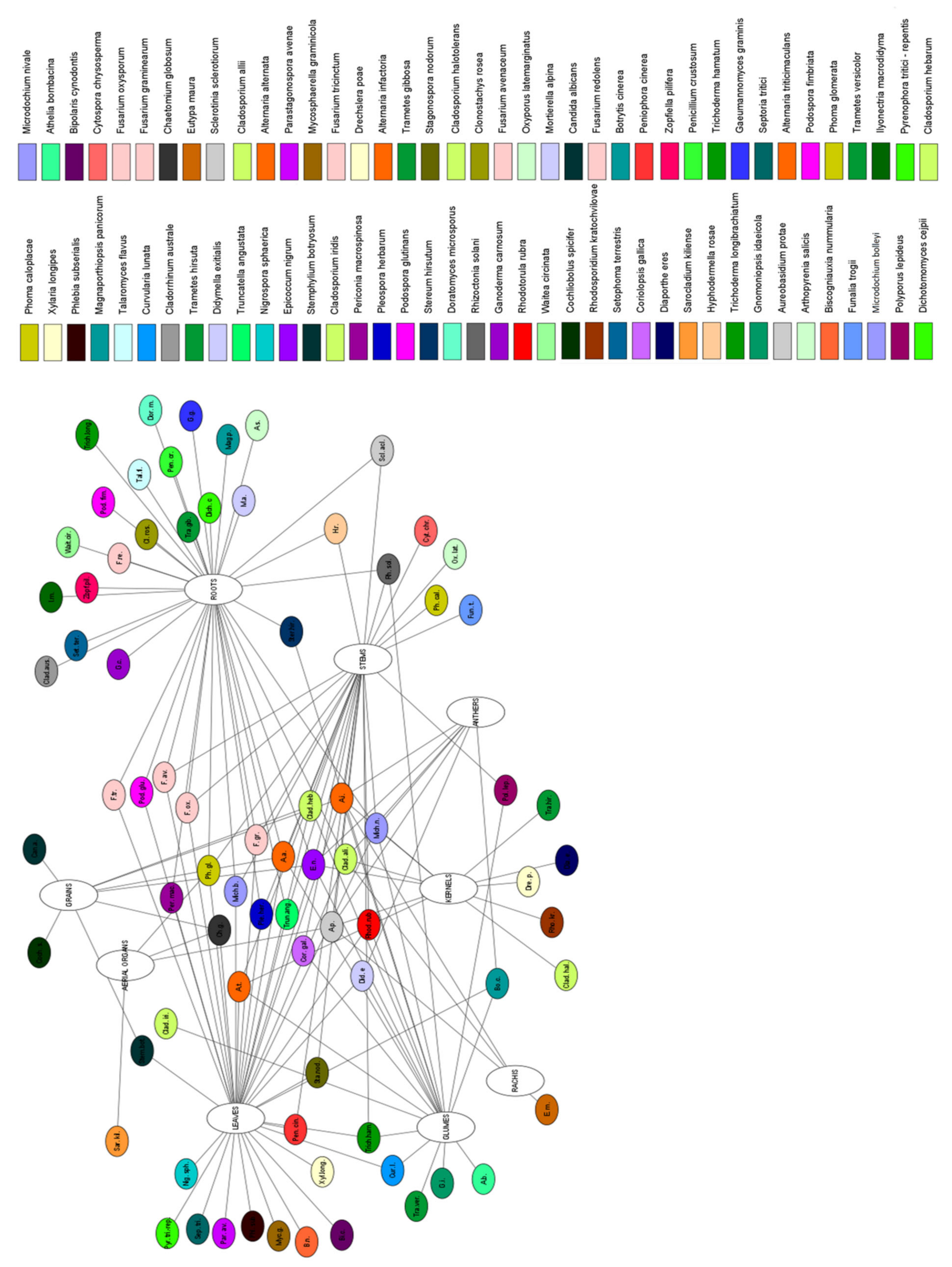 Pathogens 10 01288 g001 Pathogens 10 01288 g001