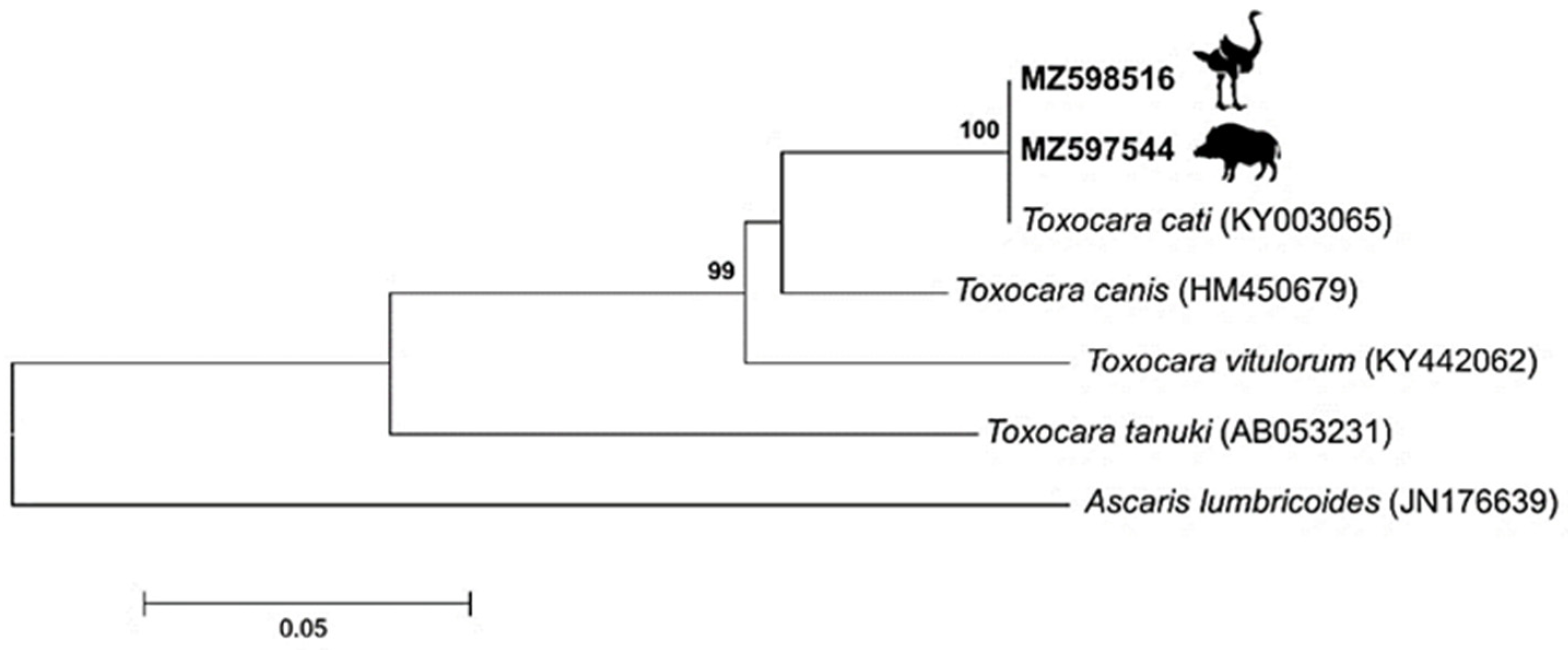 Pathogens 10 01290 g002