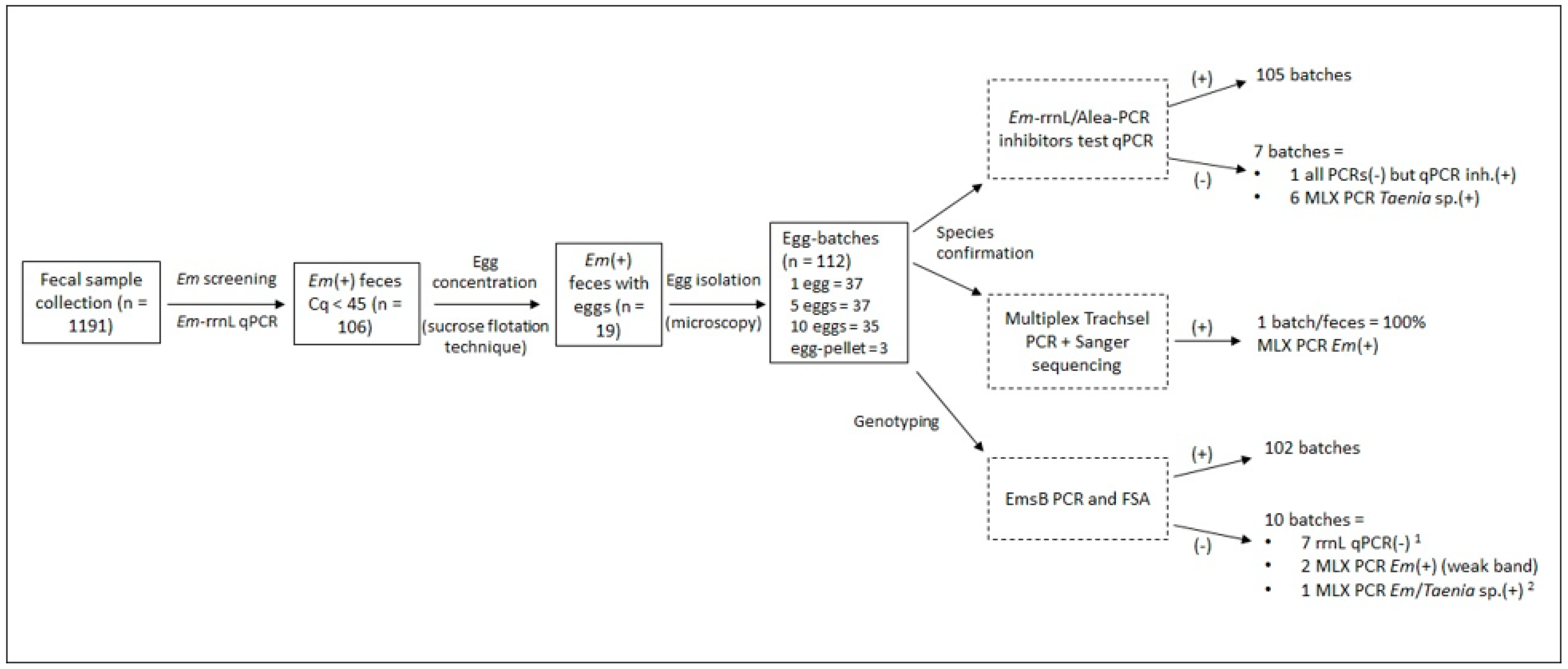Pathogens 10 01296 g001