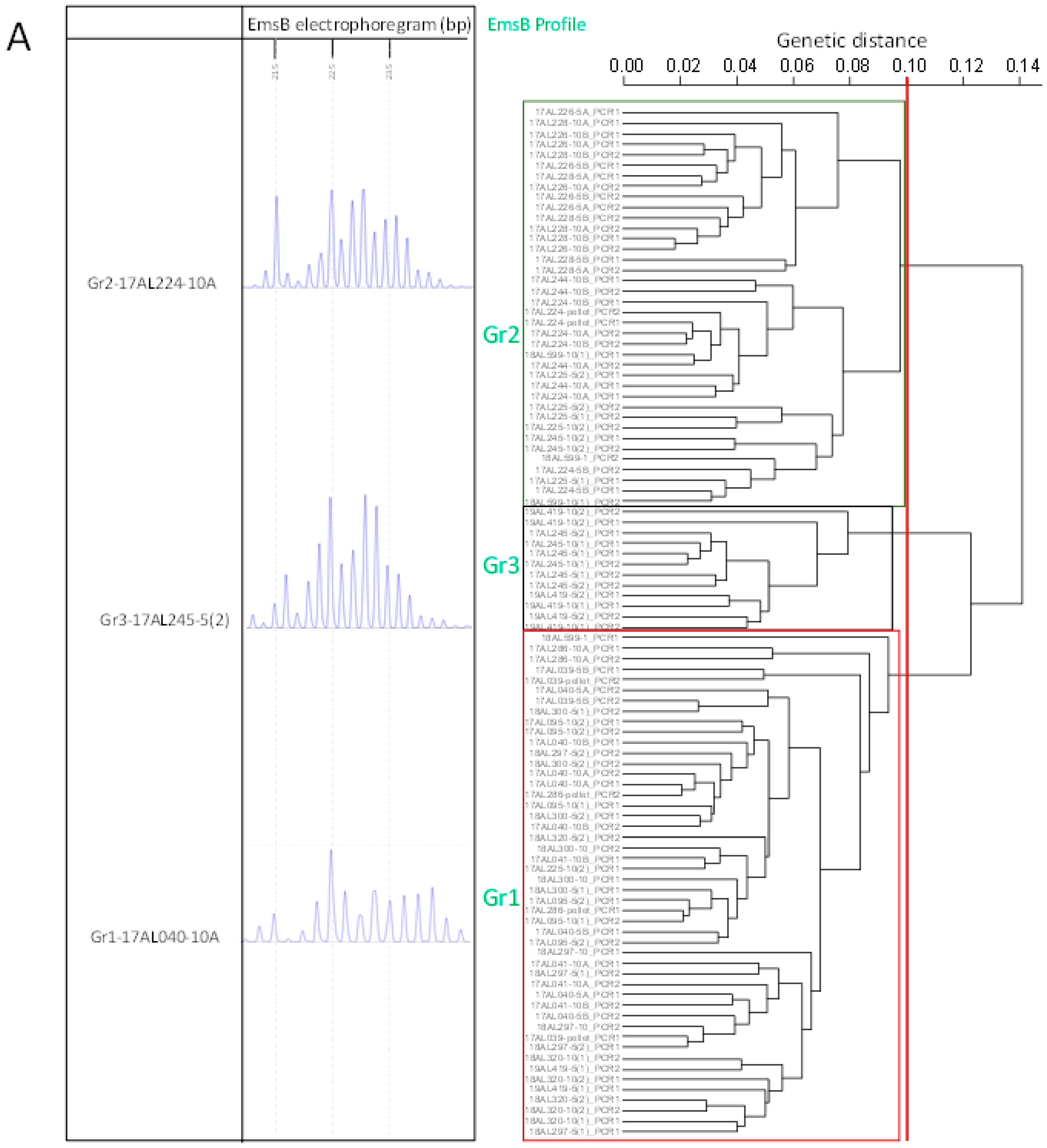 Pathogens 10 01296 g002a