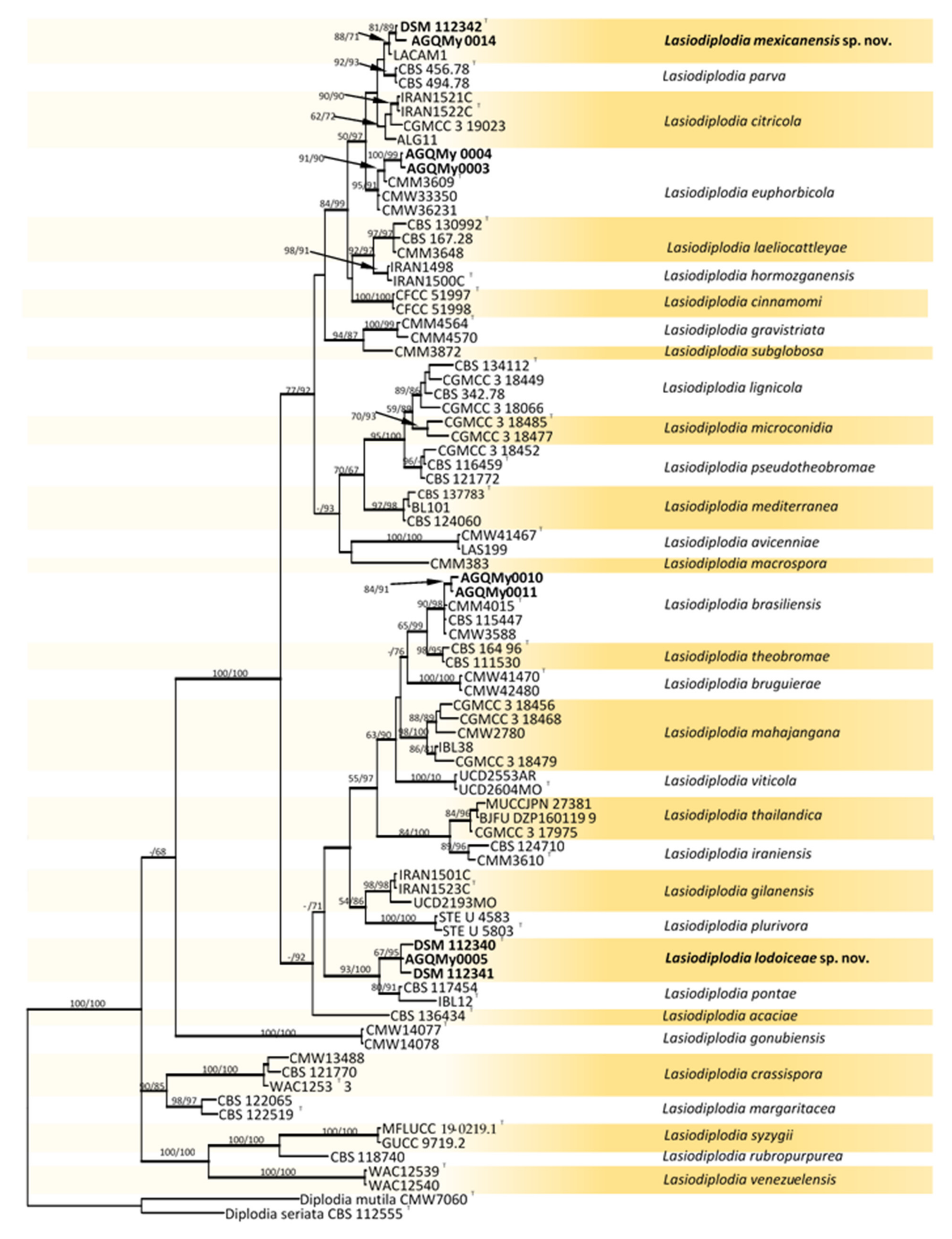 Pathogens 10 01297 g002 550