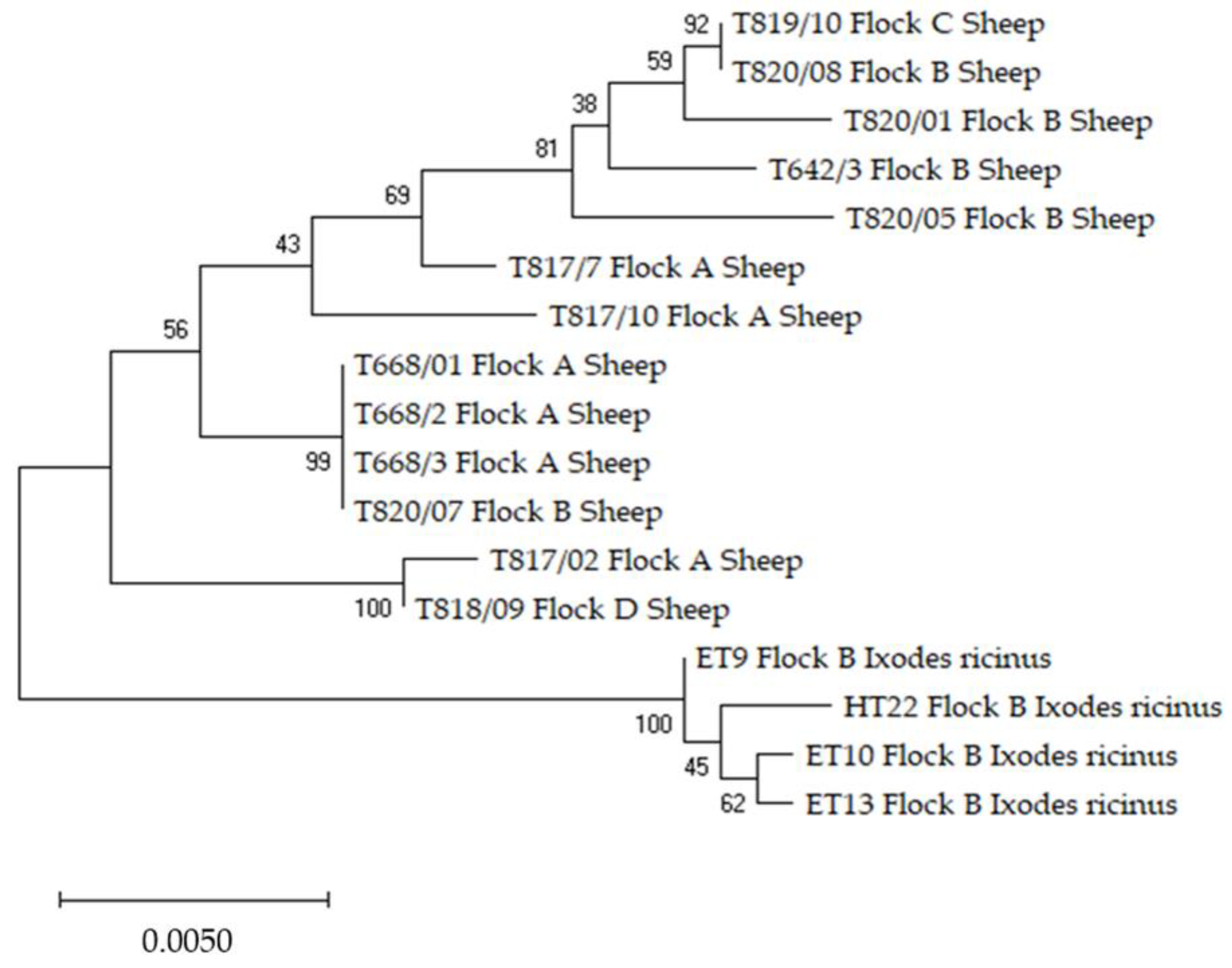 Pathogens 10 01298 g002