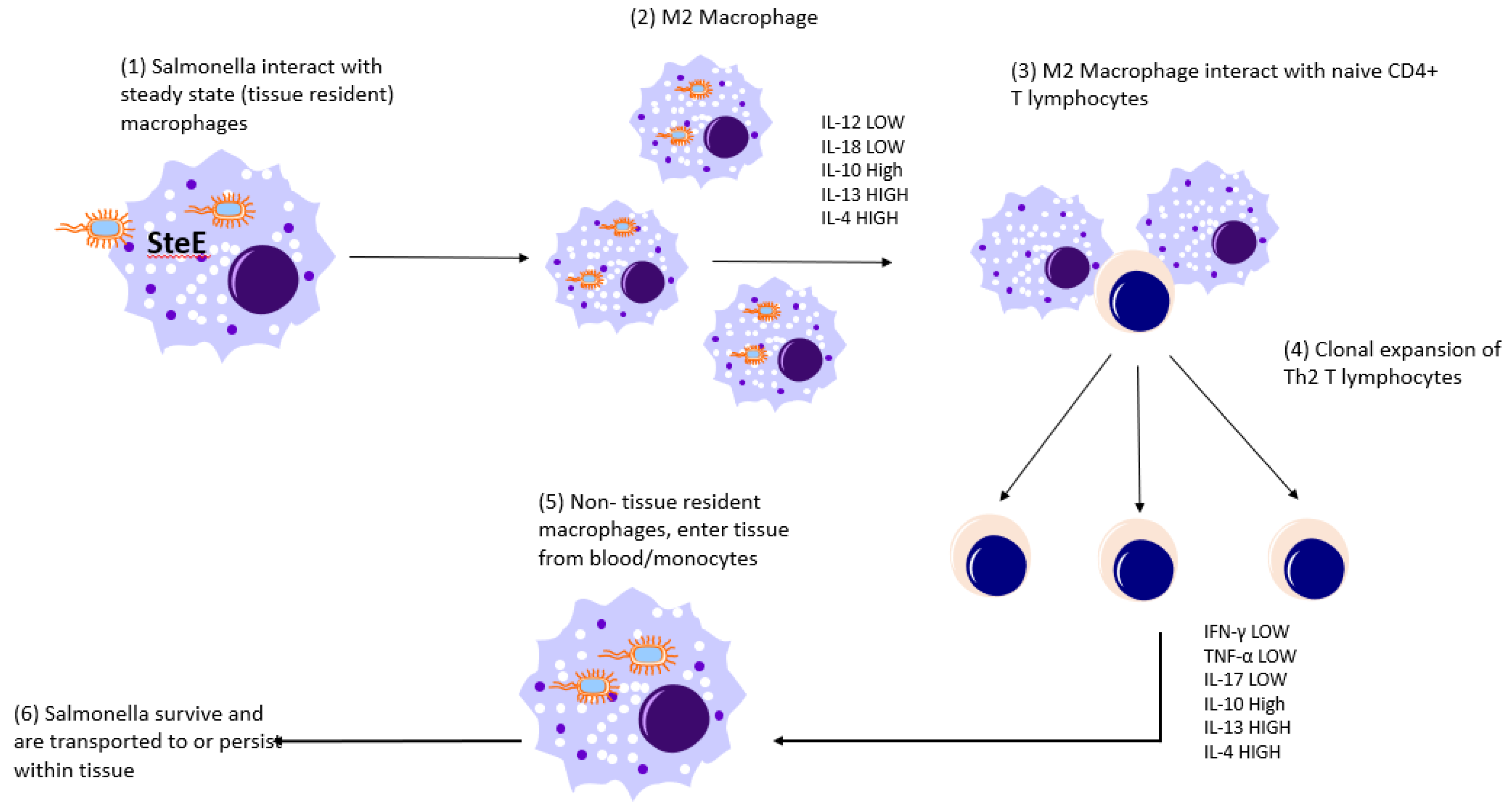 Pathogens 10 01299 g002