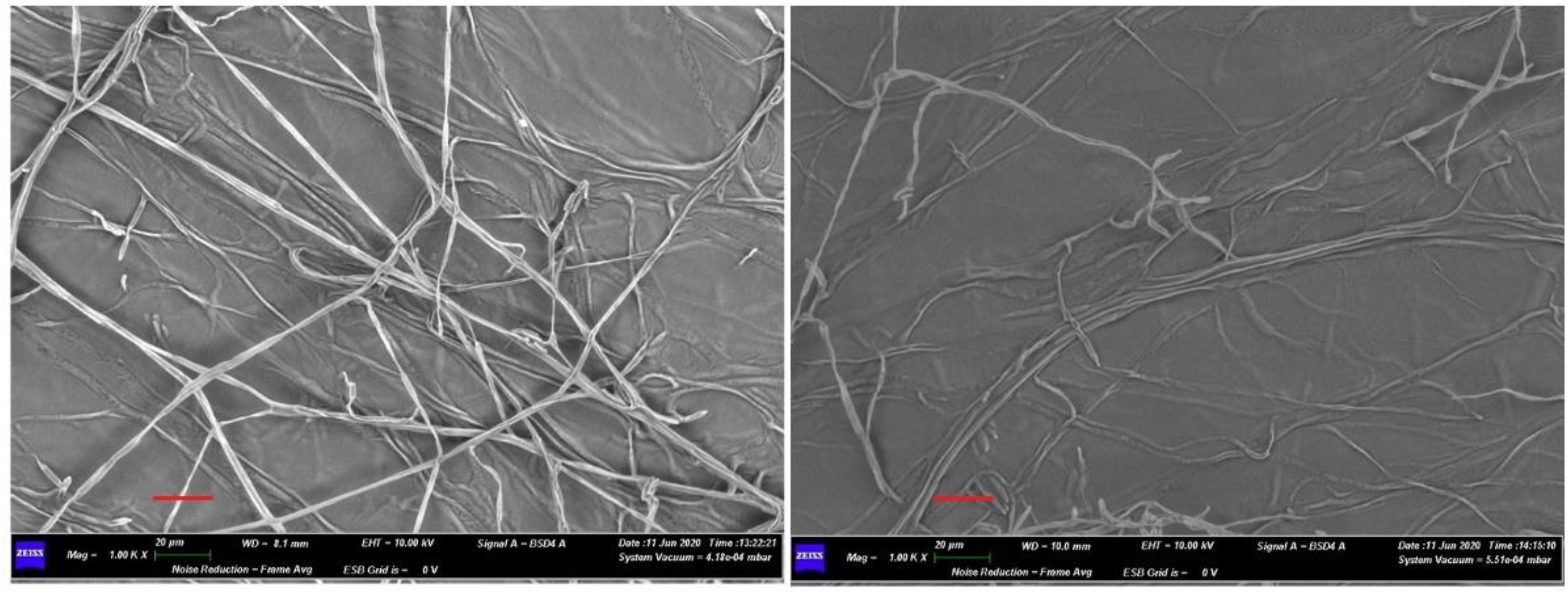 Pathogens 10 01305 g002 Pathogens 10 01305 g002