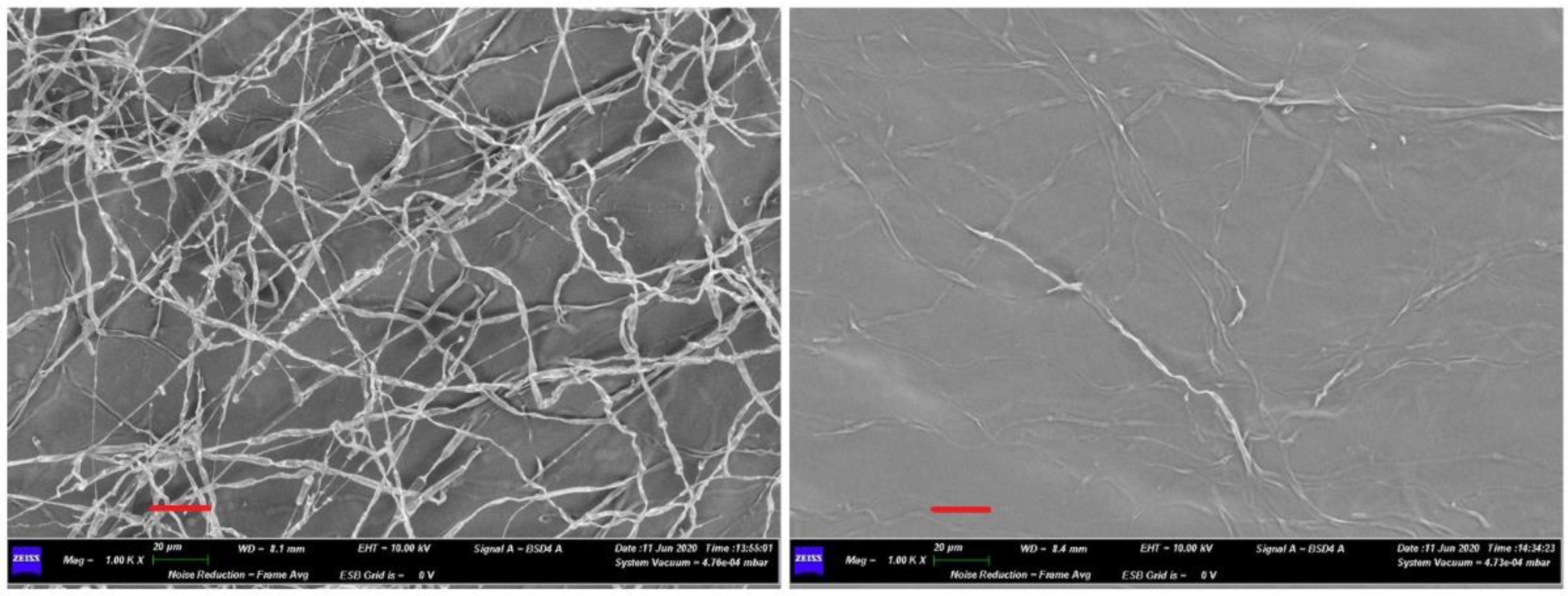 Pathogens 10 01305 g003 Pathogens 10 01305 g003