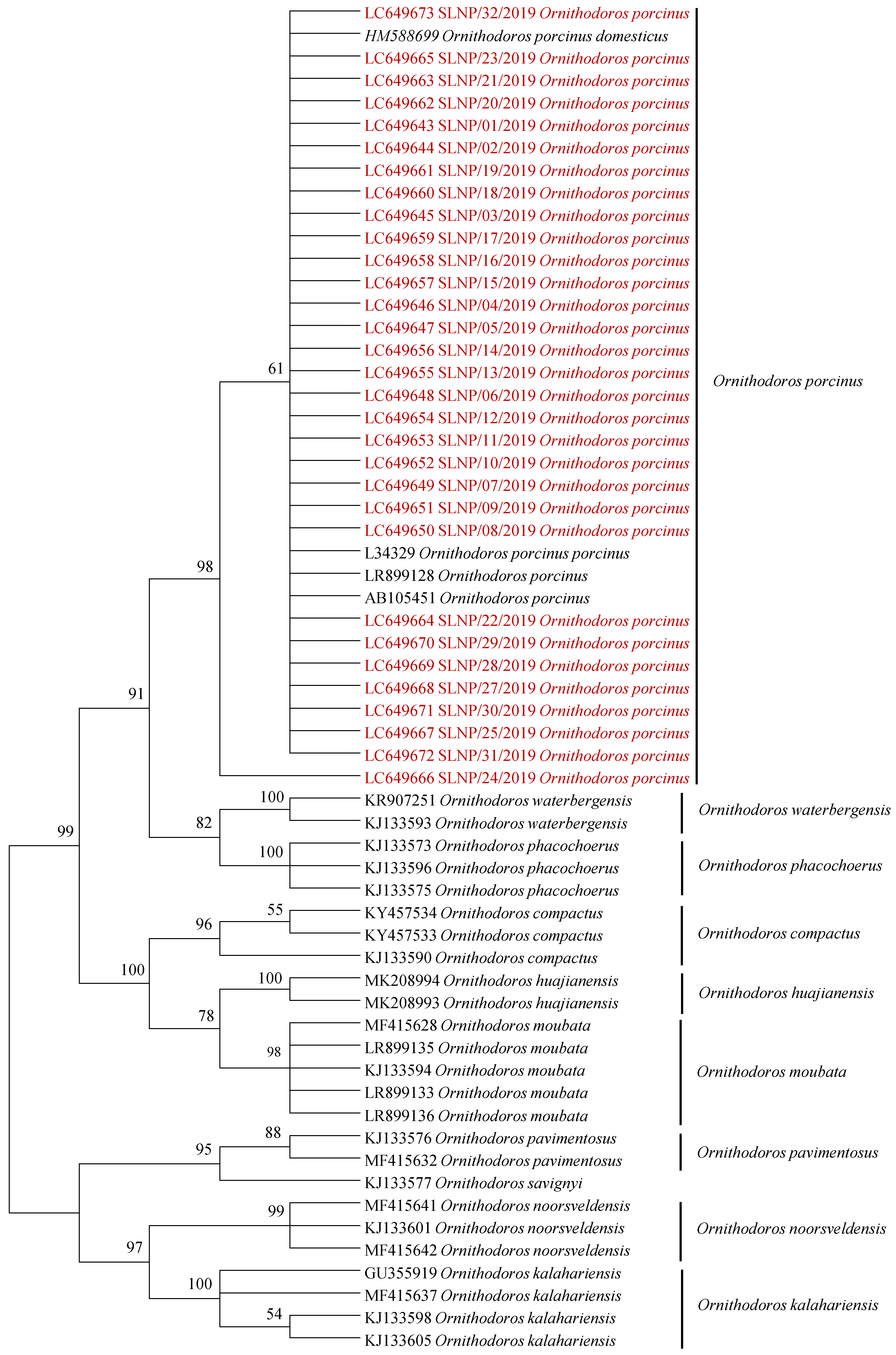 Pathogens 10 01306 g001