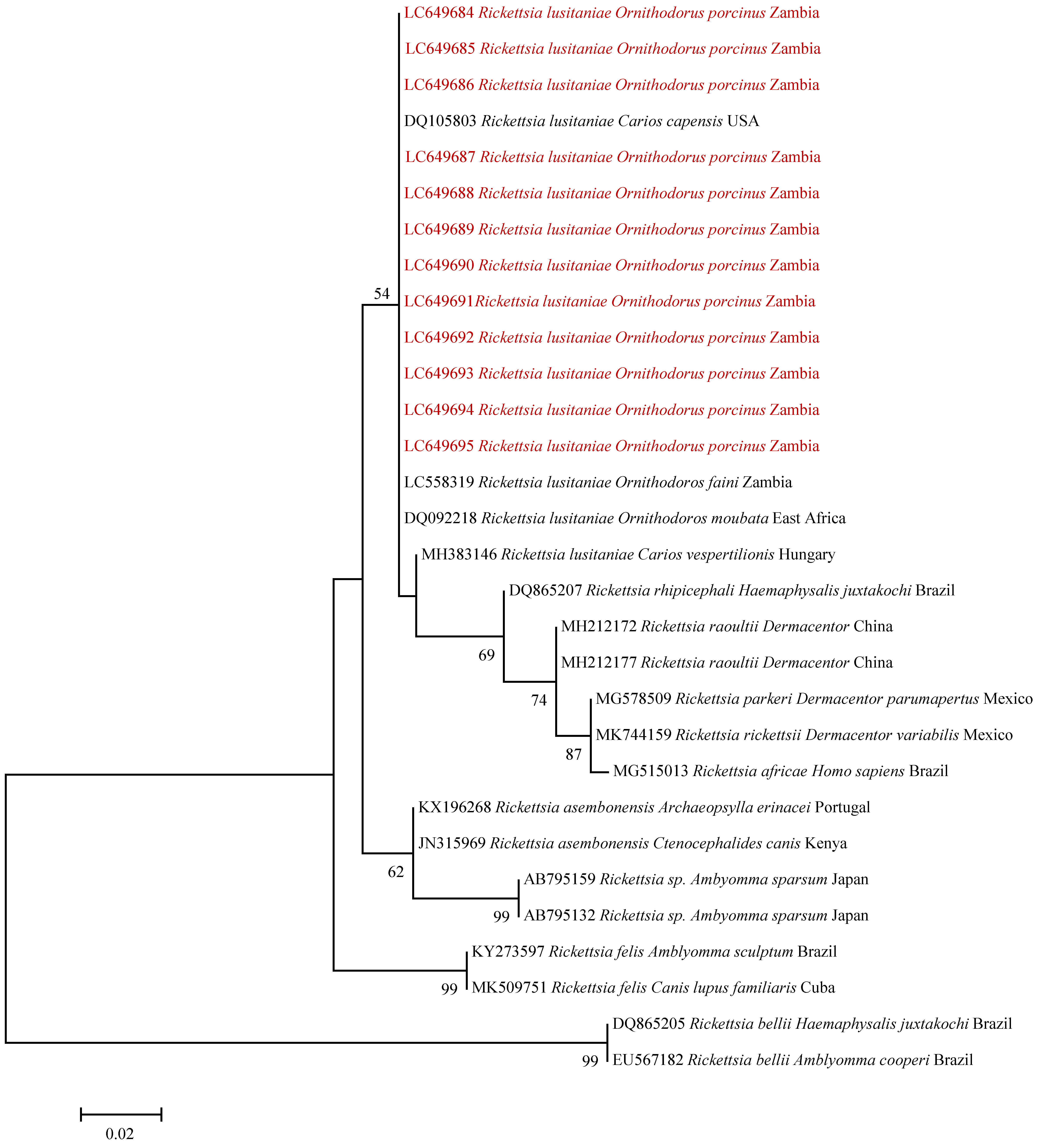Pathogens 10 01306 g003