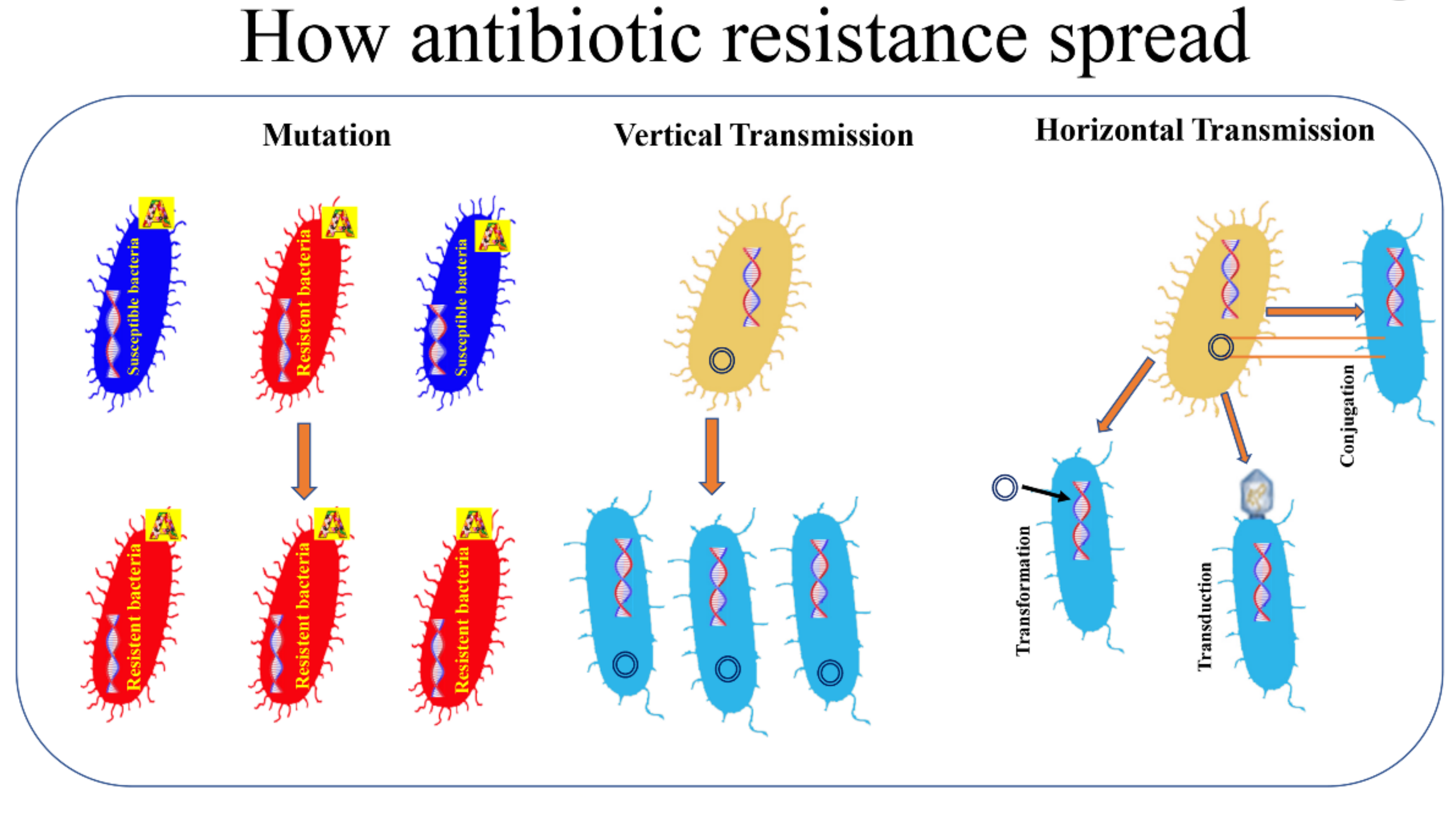 Enhanced germ resistance