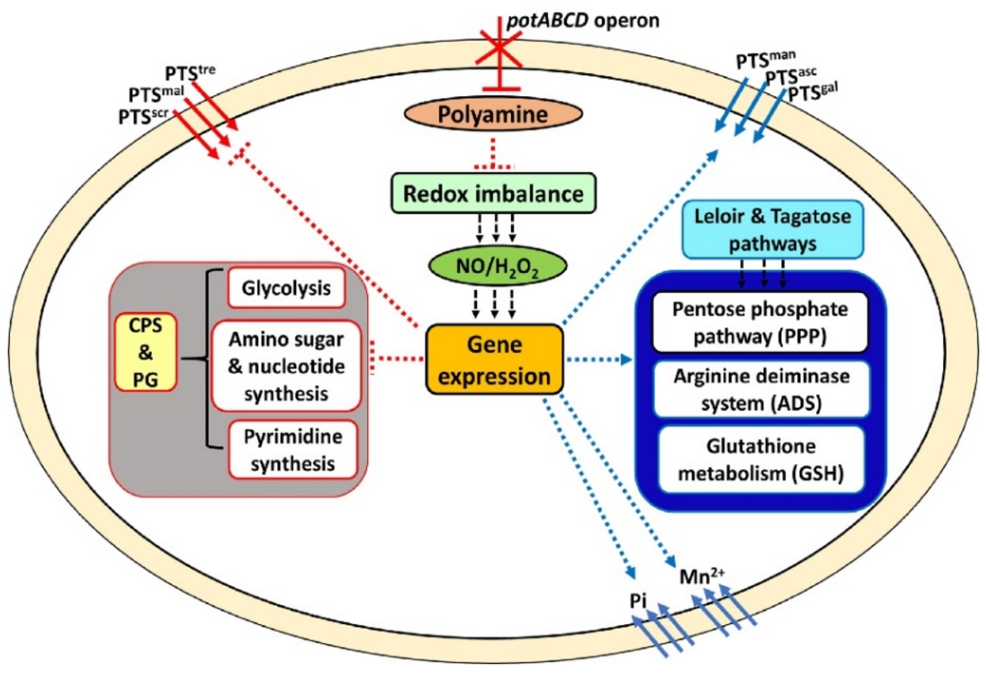 Pathogens 10 01322 g004