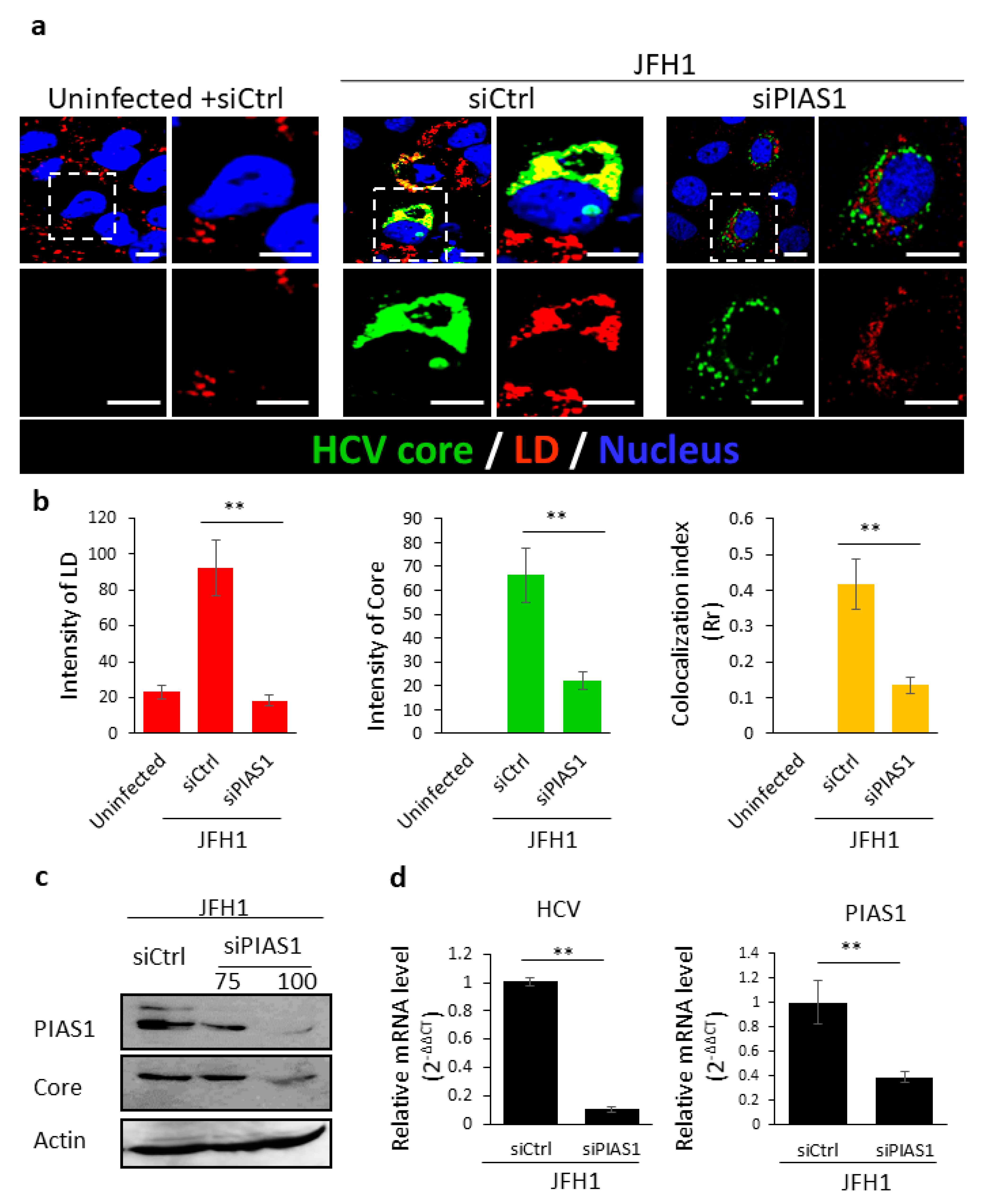 Pathogens 10 01327 g002