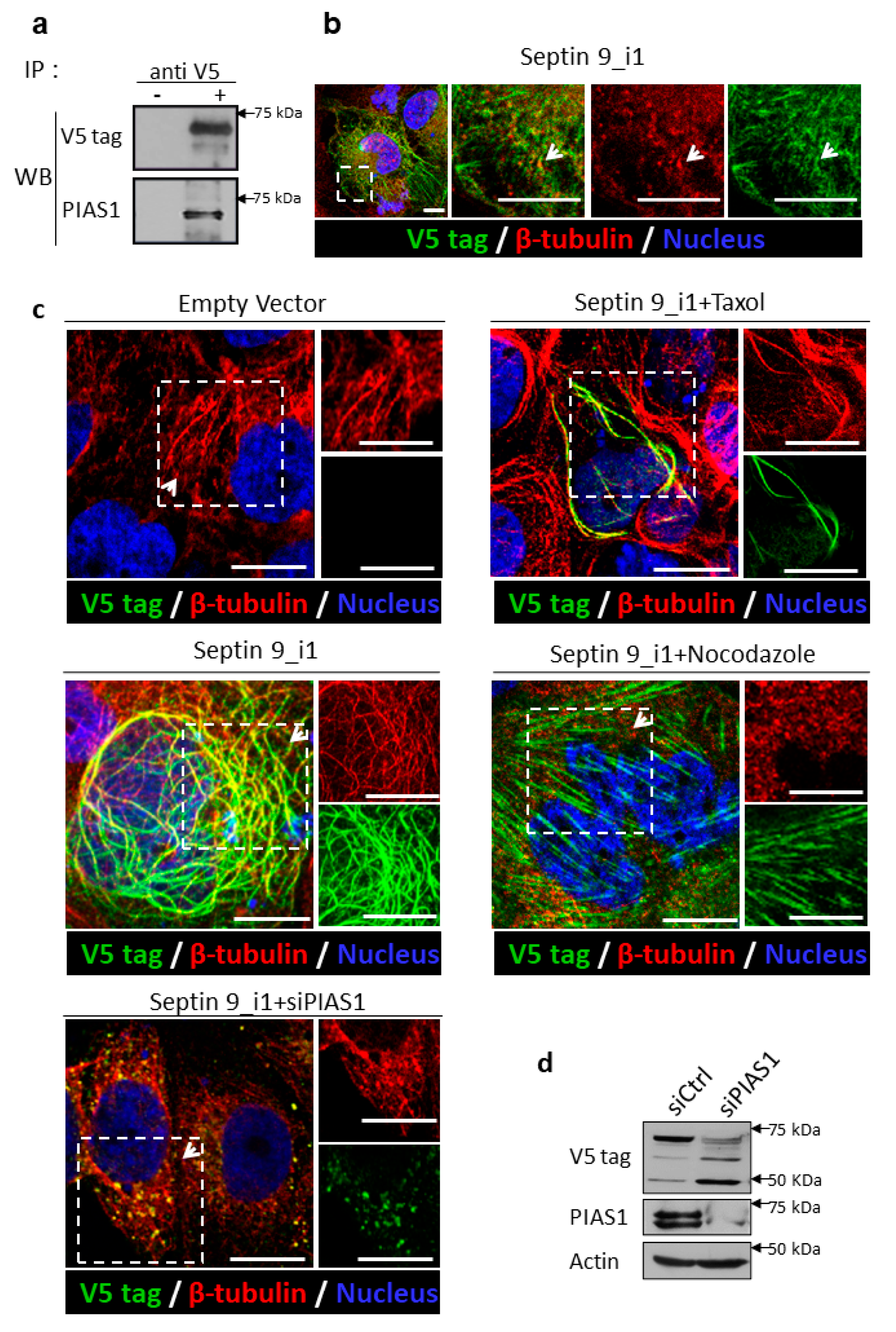 Pathogens 10 01327 g004