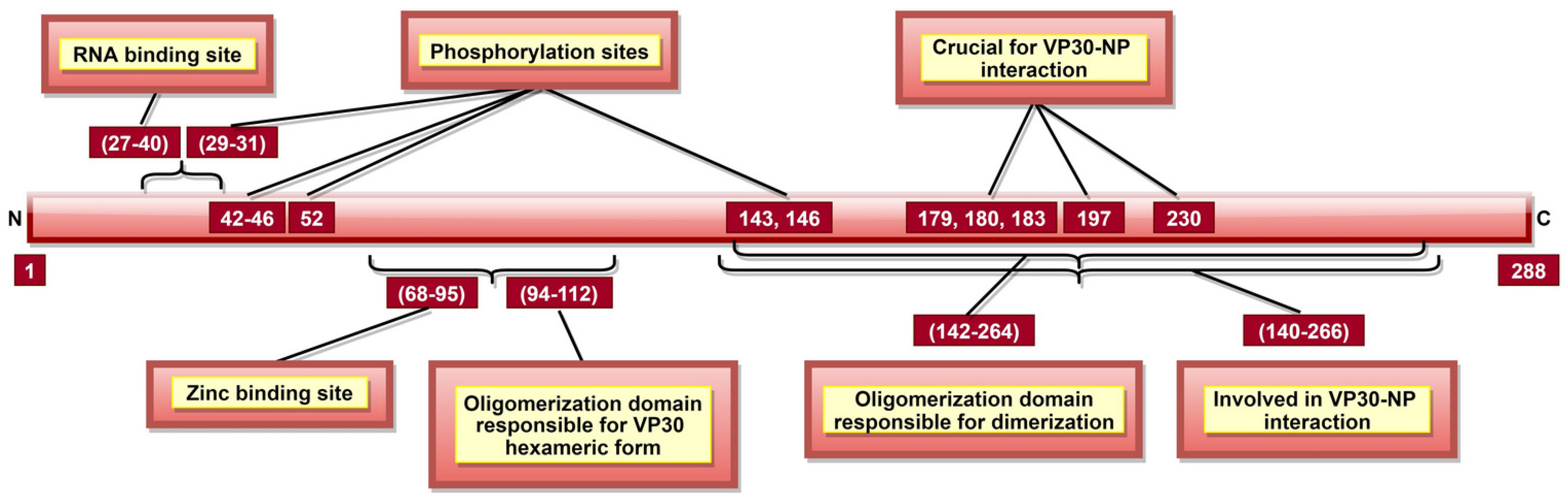Pathogens 10 01330 g008