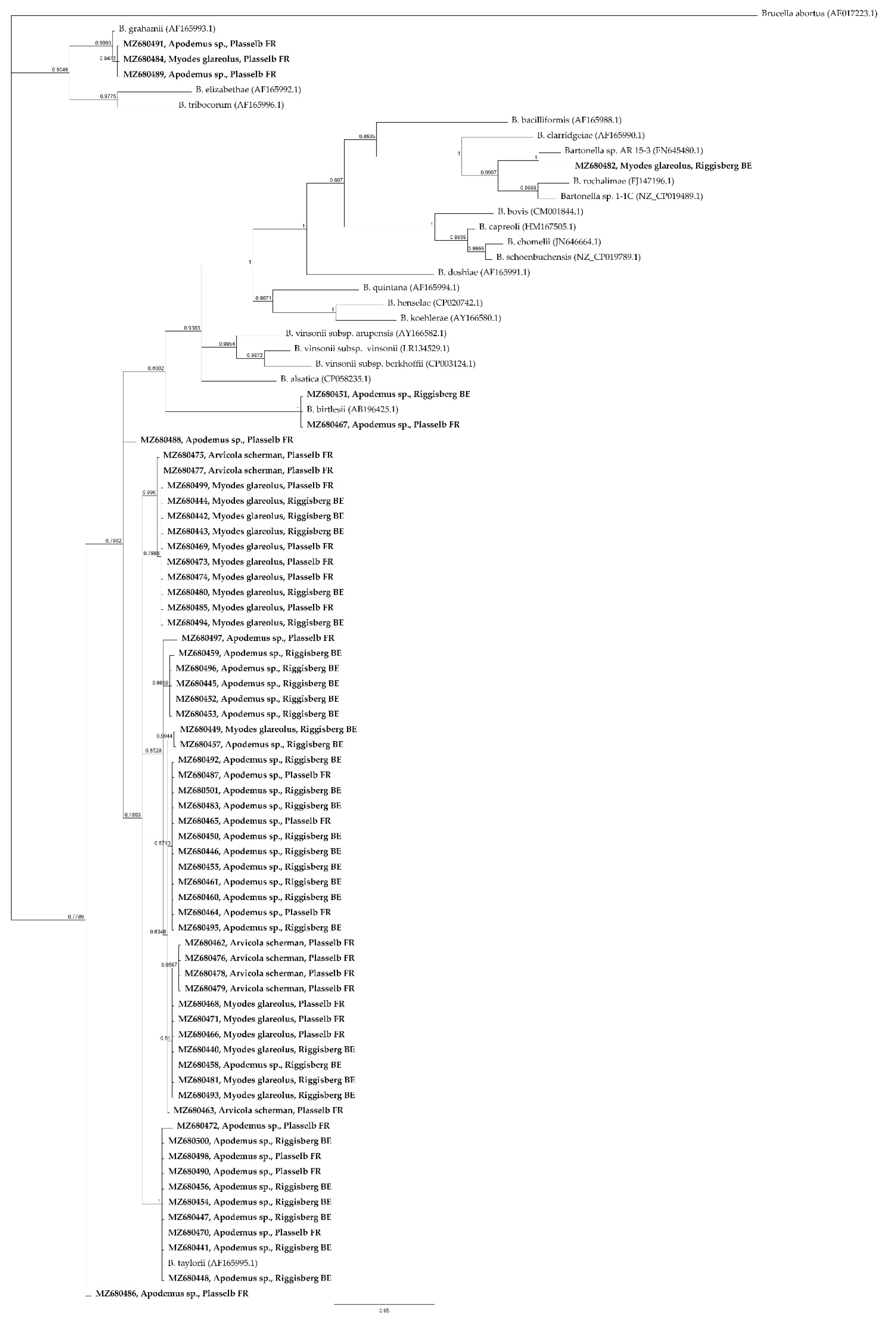 Pathogens 10 01331 g002