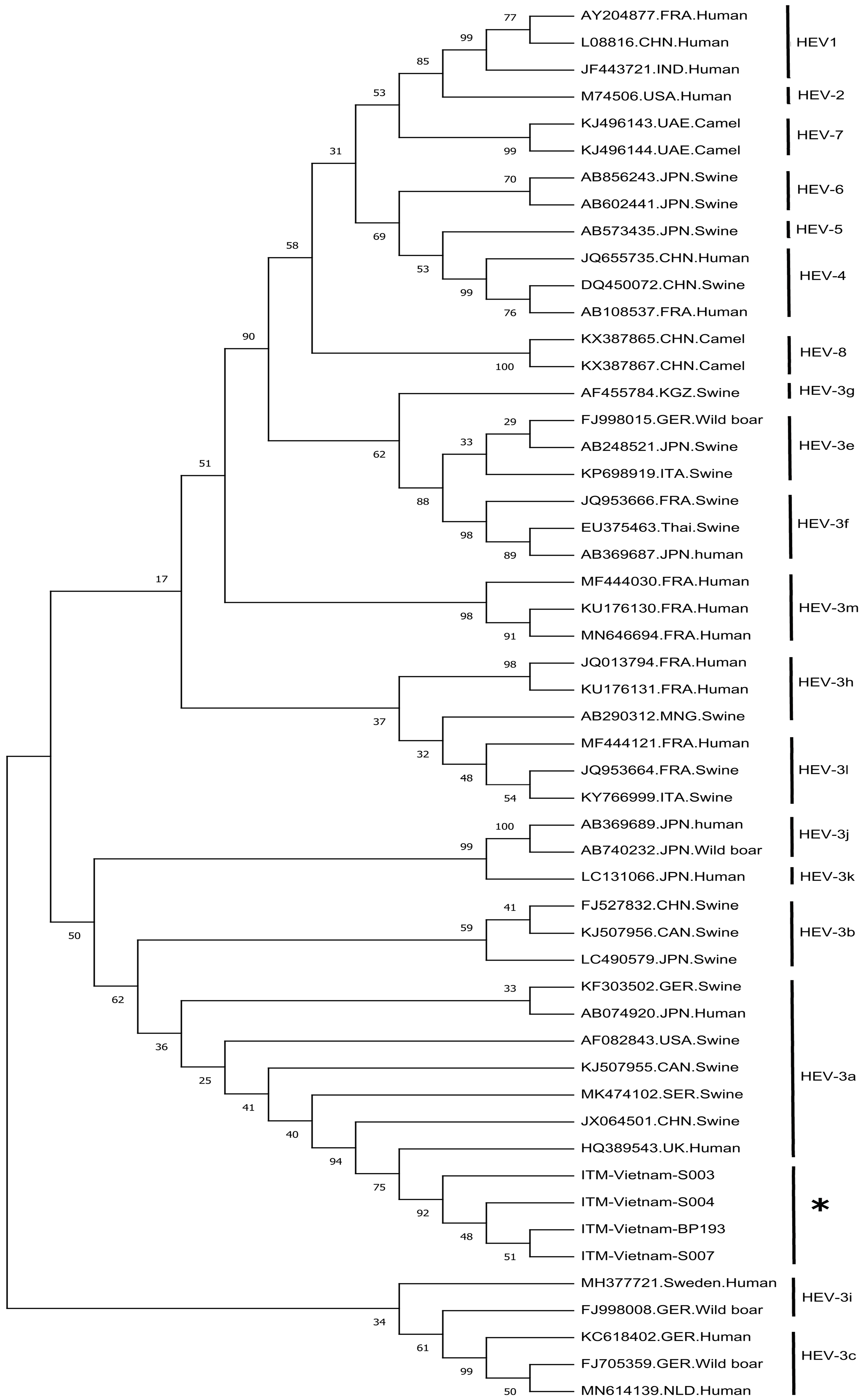 Pathogens 10 01340 g001
