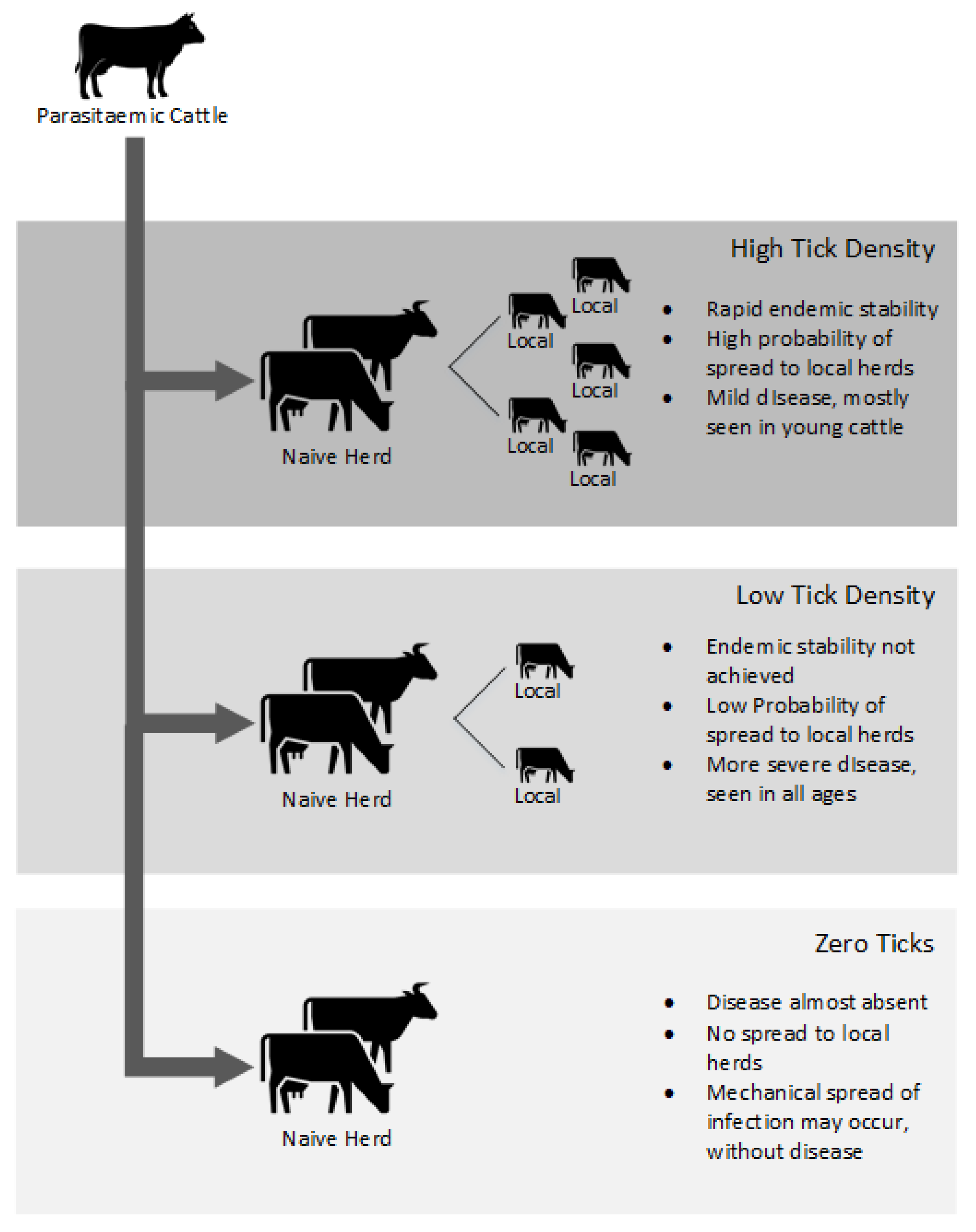 Pathogens 10 01346 g005