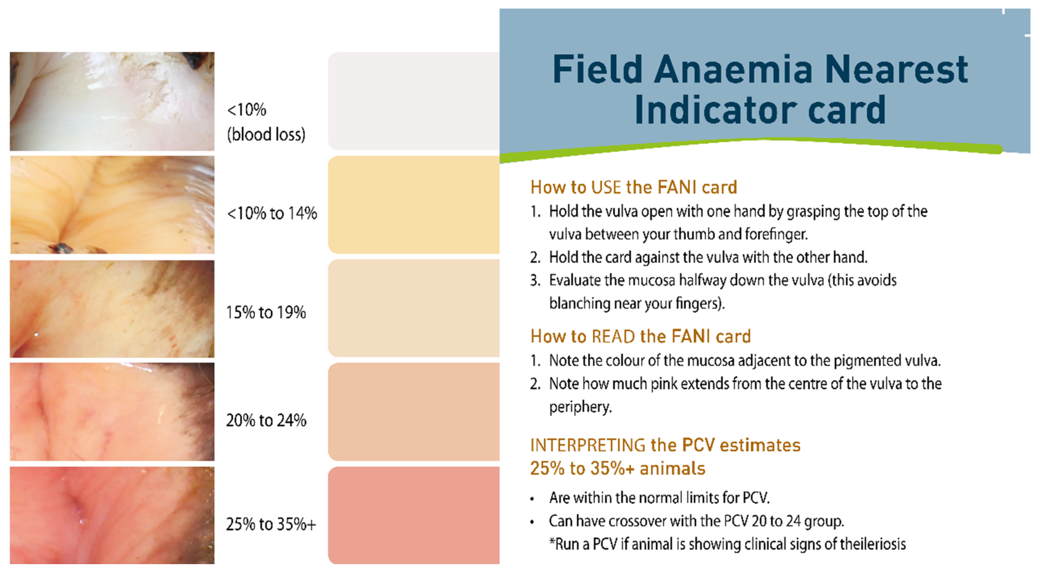 Pathogens 10 01346 g010