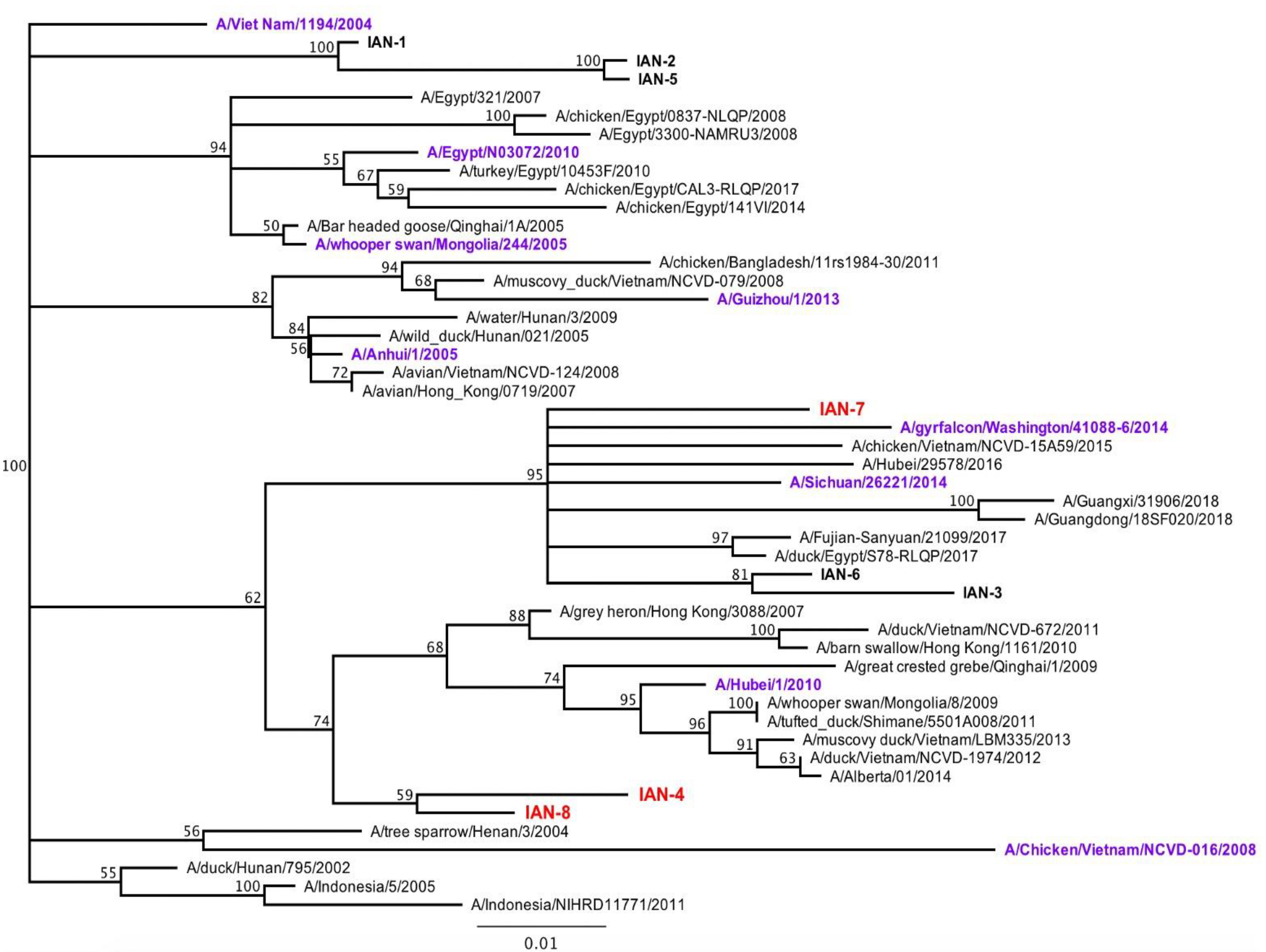 Pathogens 10 01352 g001 550
