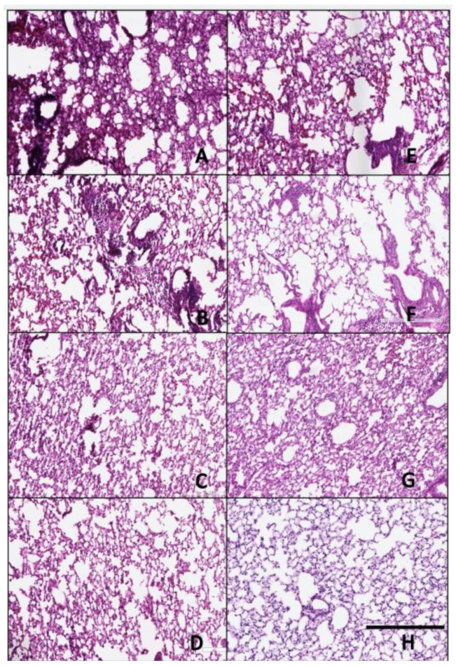 Pathogens 10 01352 g007 550