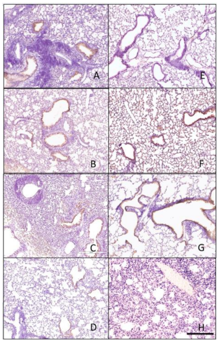Pathogens 10 01352 g009 550