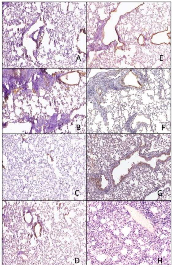 Pathogens 10 01352 g010 550