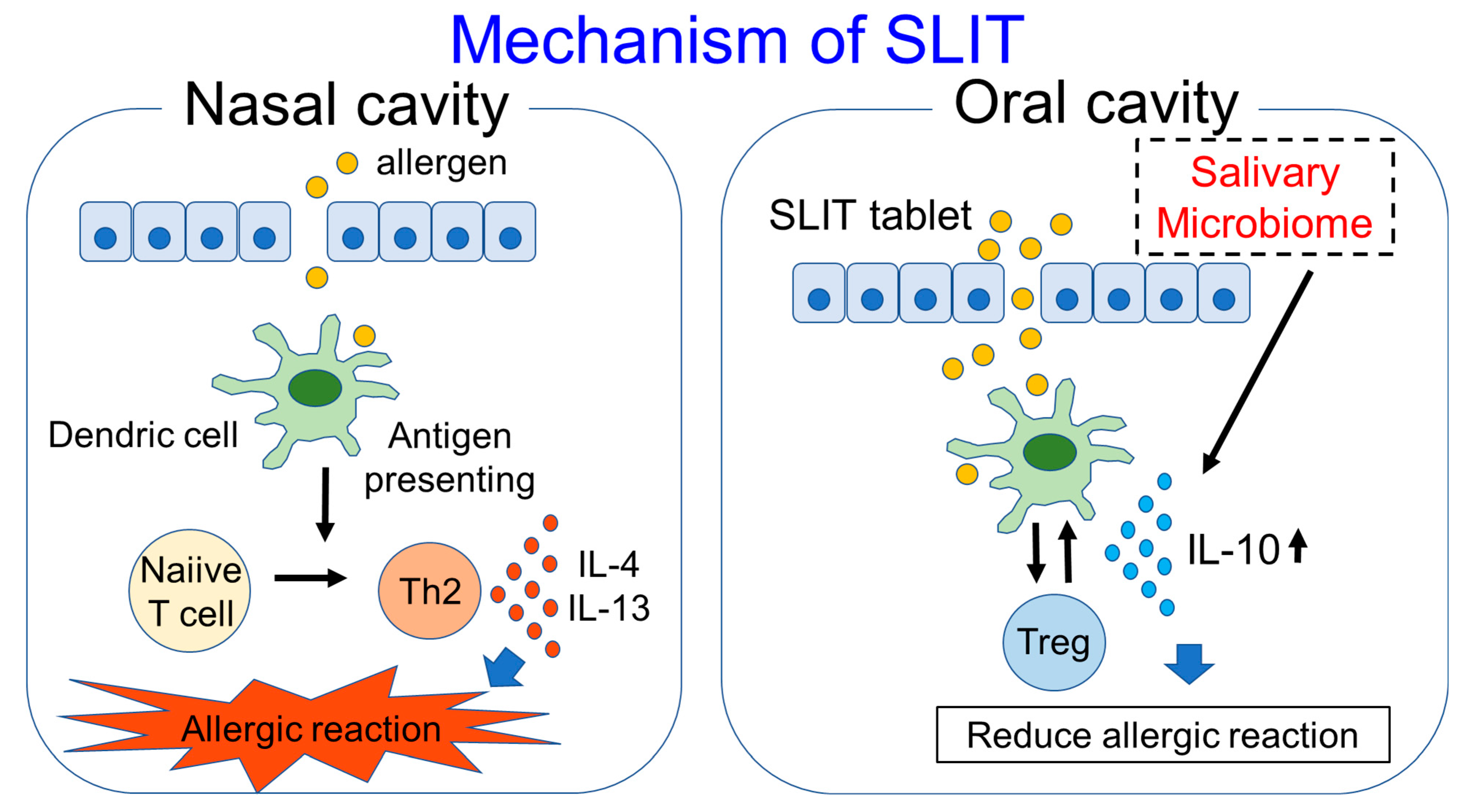 How Much Does Sublingual Immunotherapy Cost Pathogens | Free Full-Text | Relationship between Saliva and Sublingual