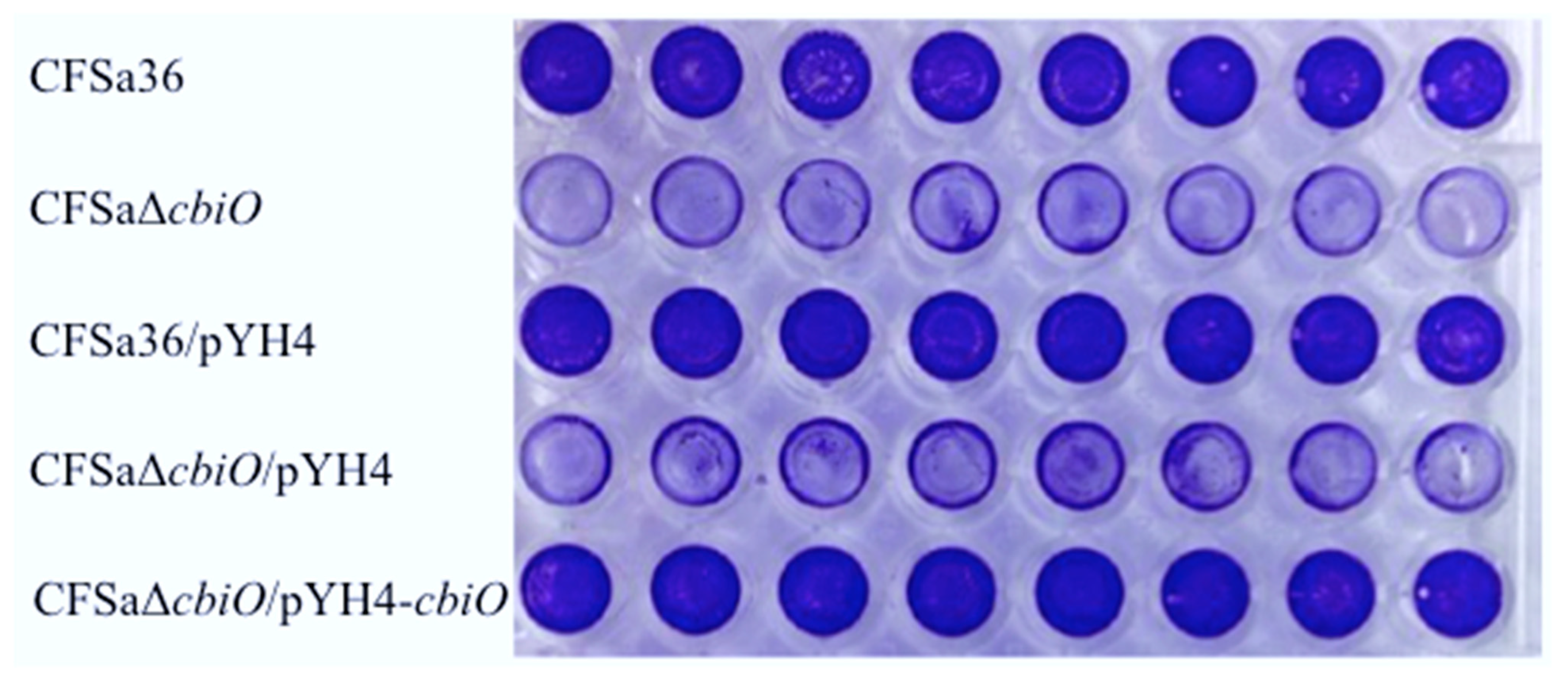 Pathogens 10 01363 g003 550