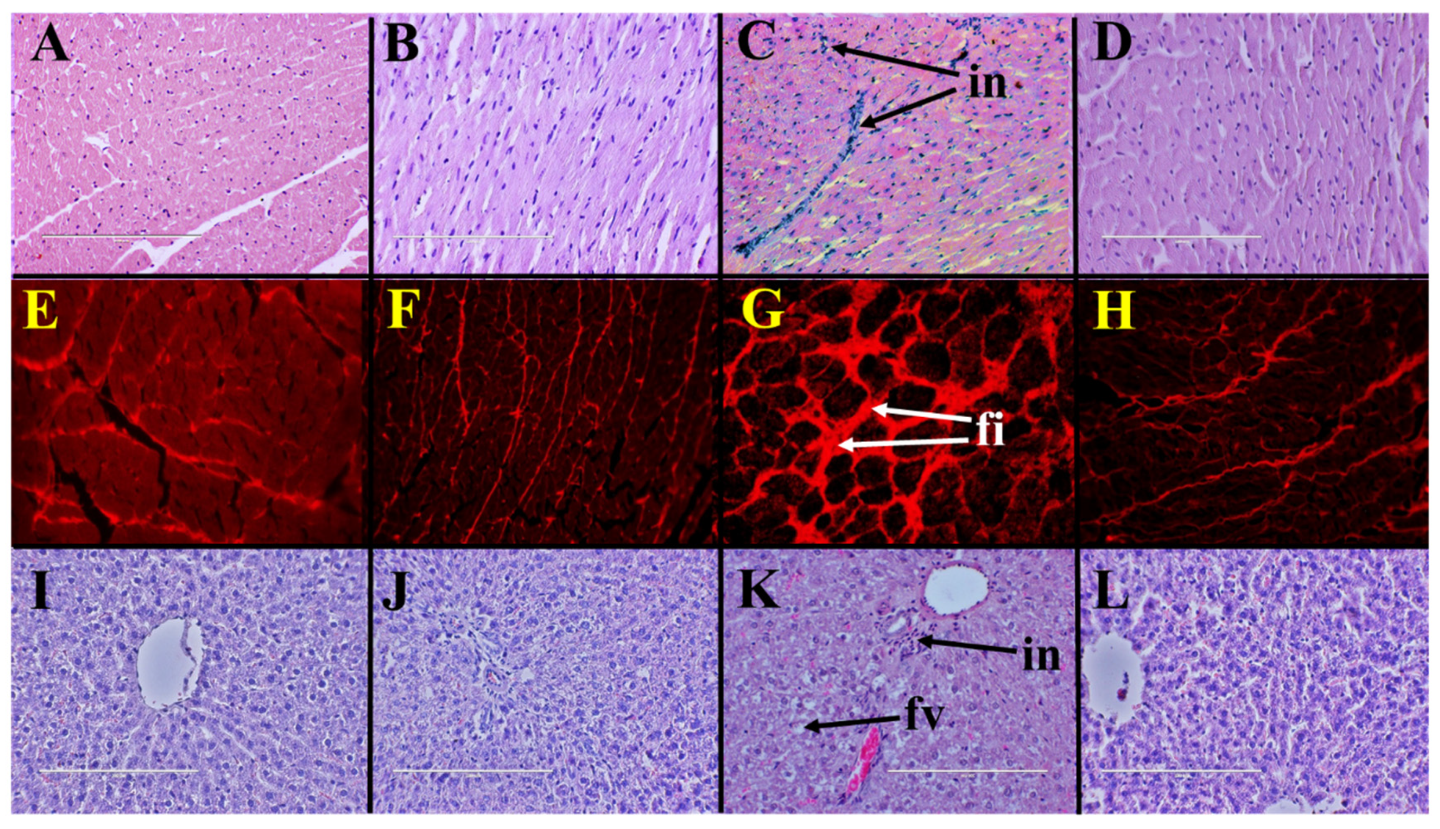 Pathogens 10 01369 g001