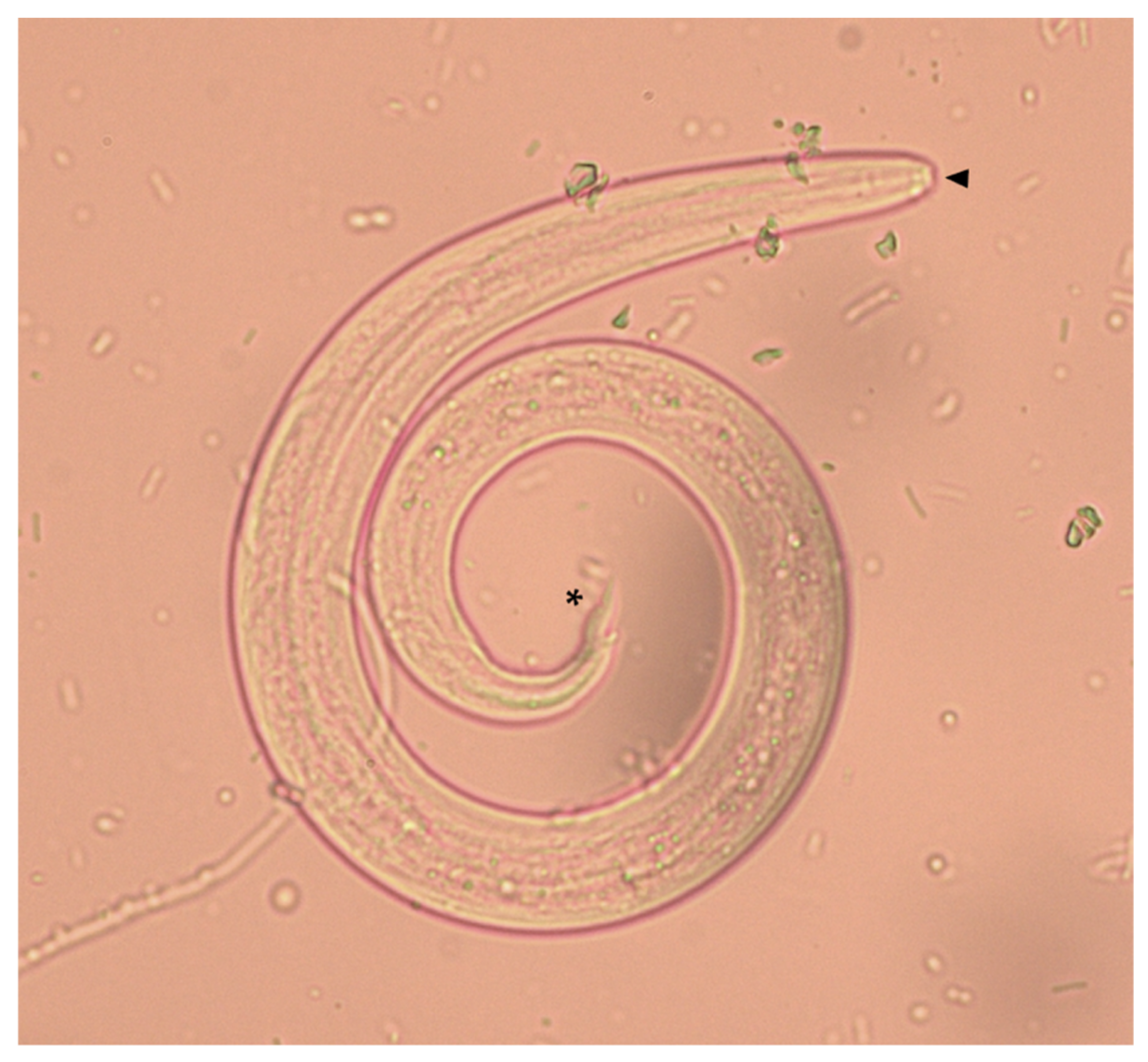 Pathogens 10 01372 g006